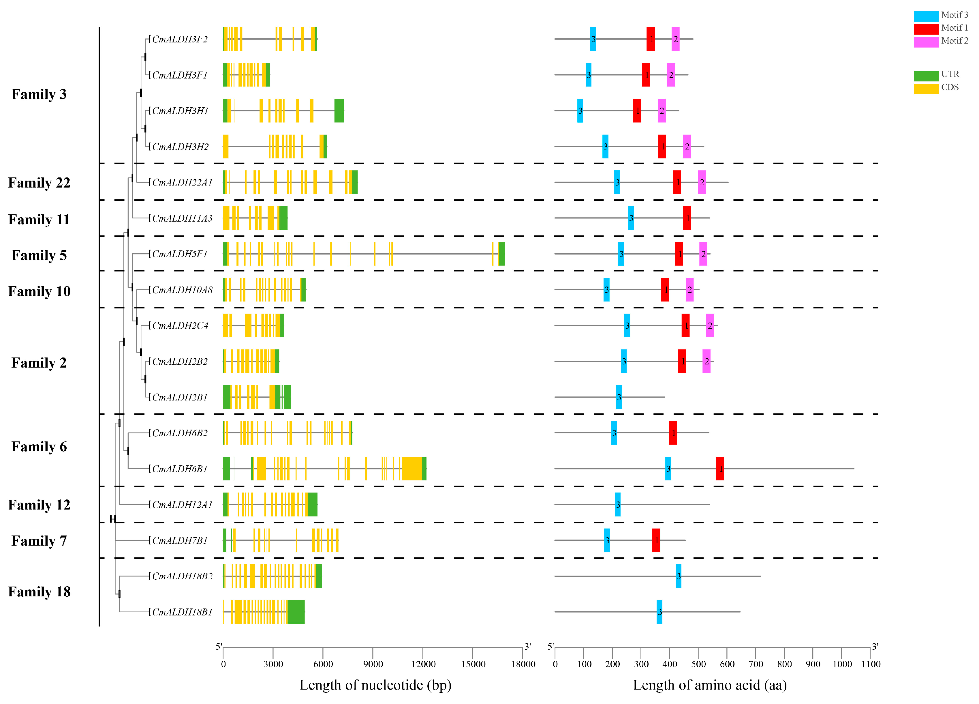 Plants 13 02939 g003