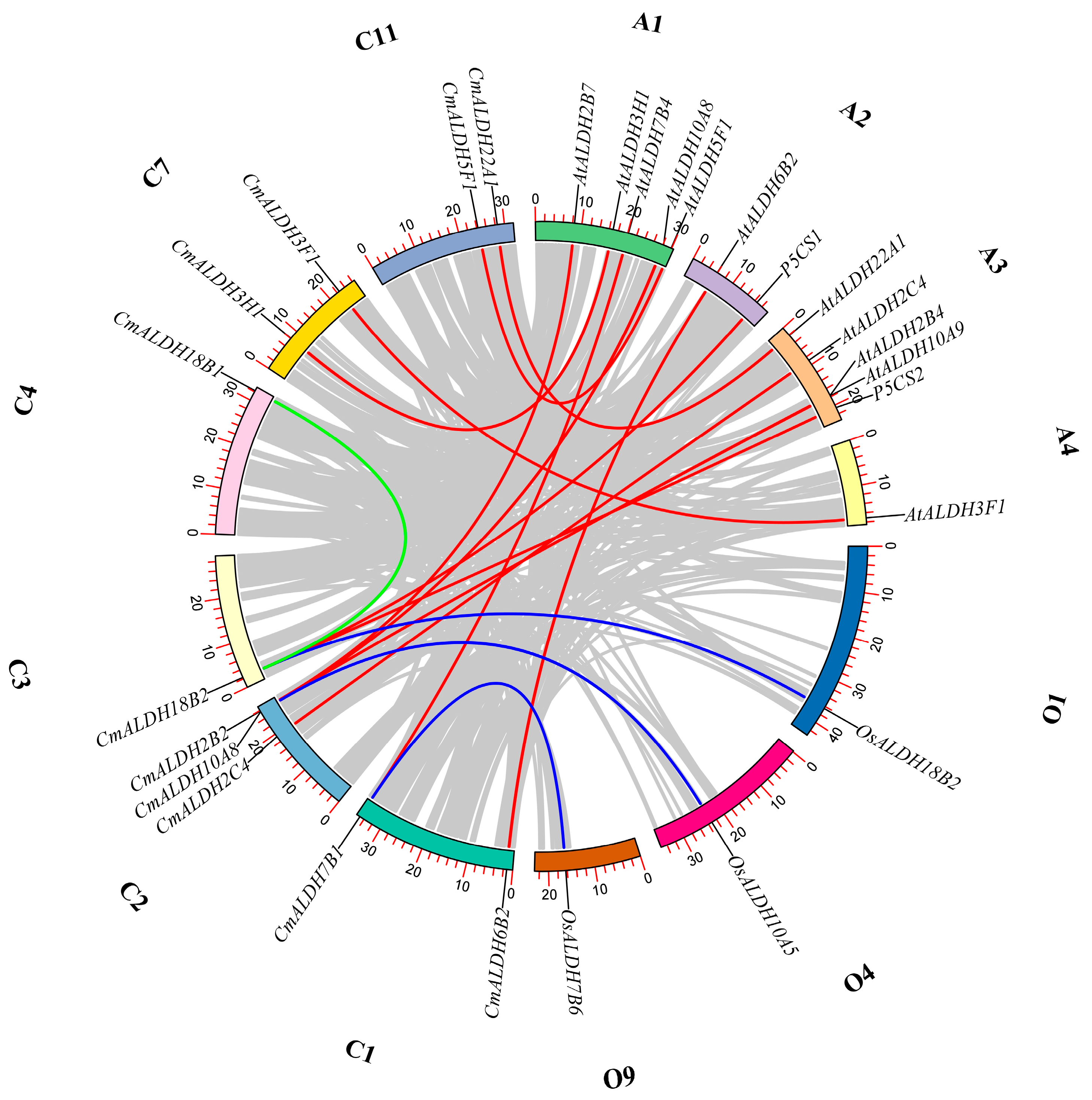 Plants 13 02939 g004