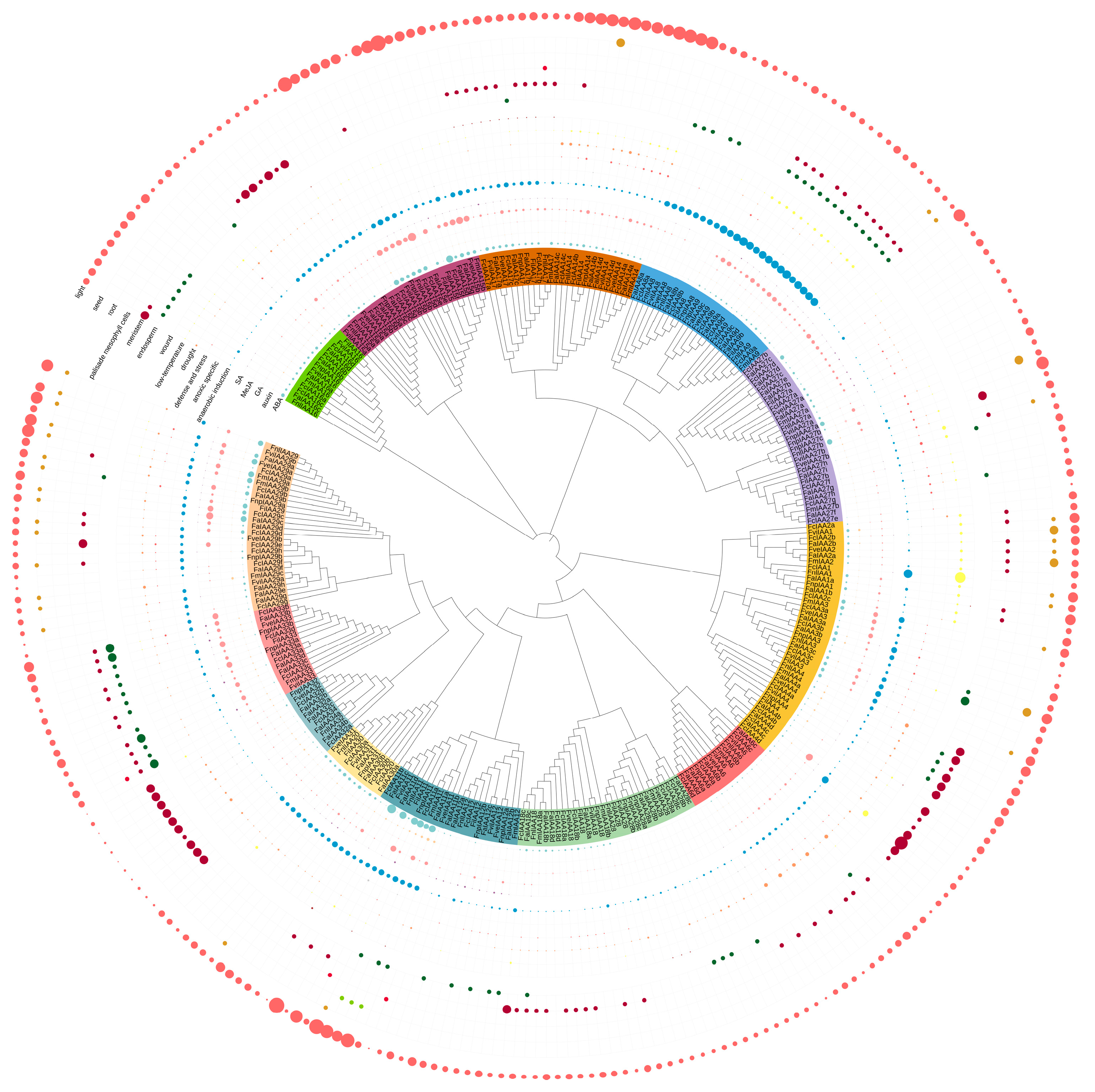 Plants 13 02940 g004