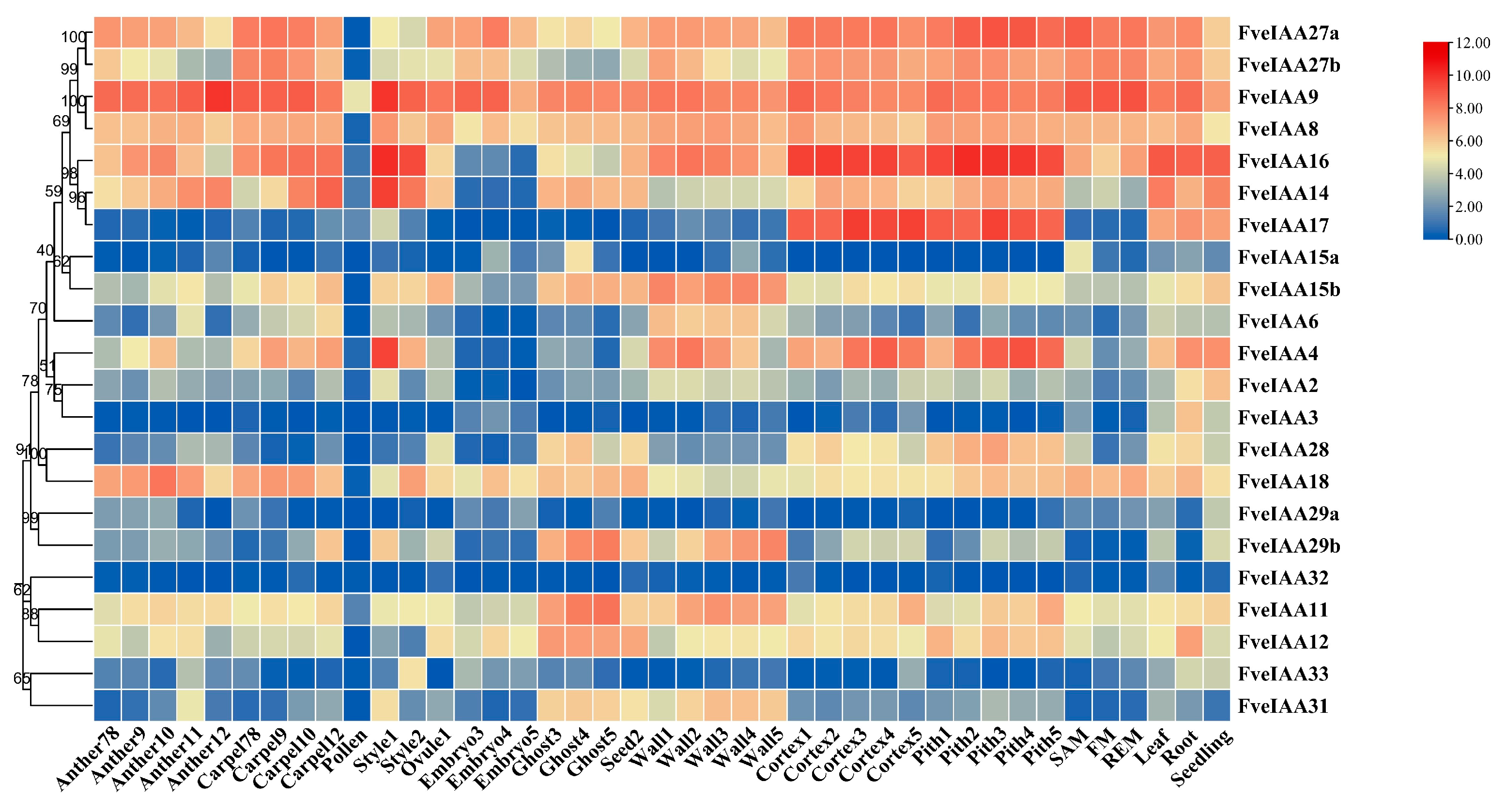 Plants 13 02940 g005
