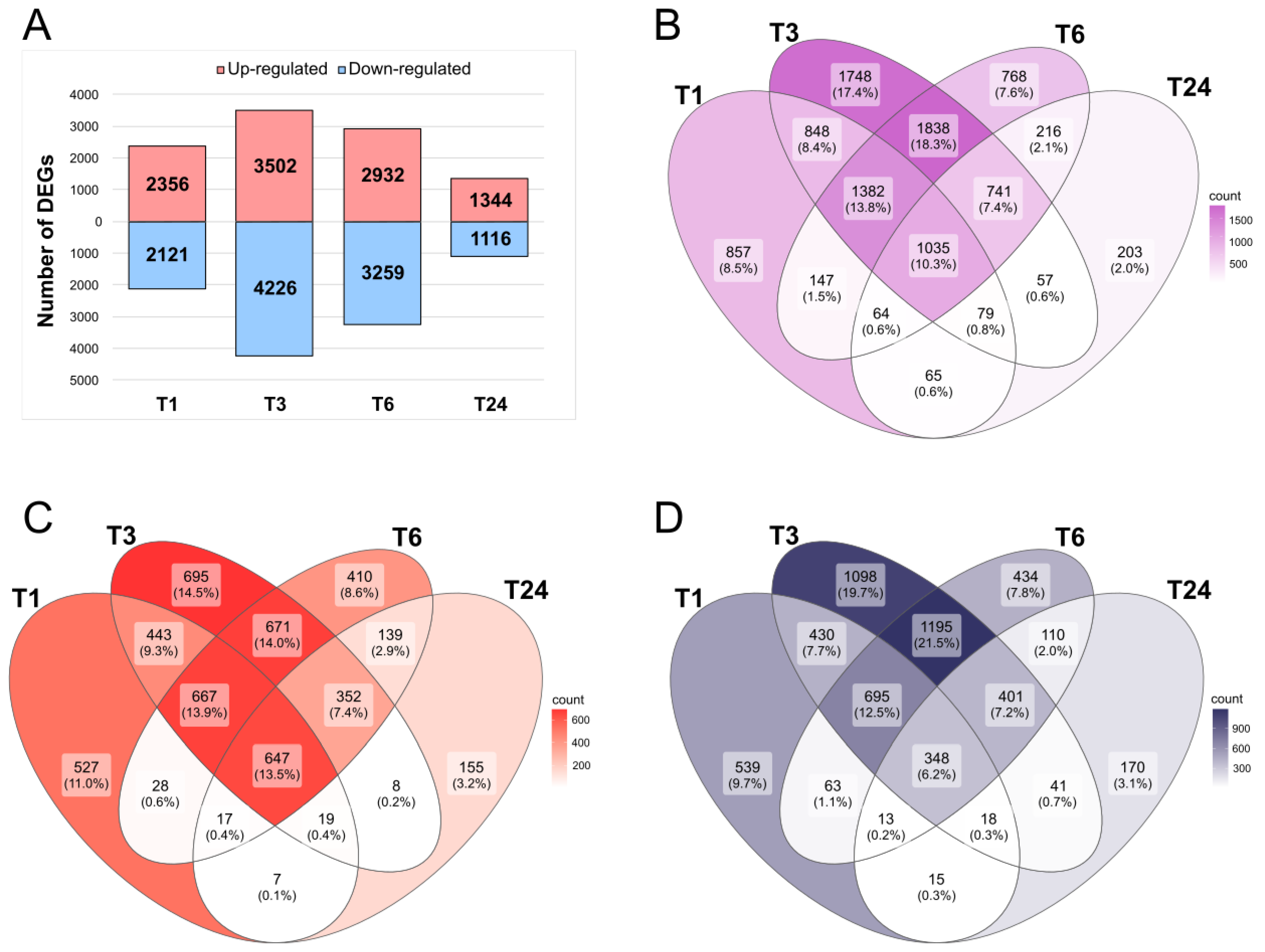 Plants 13 02944 g001