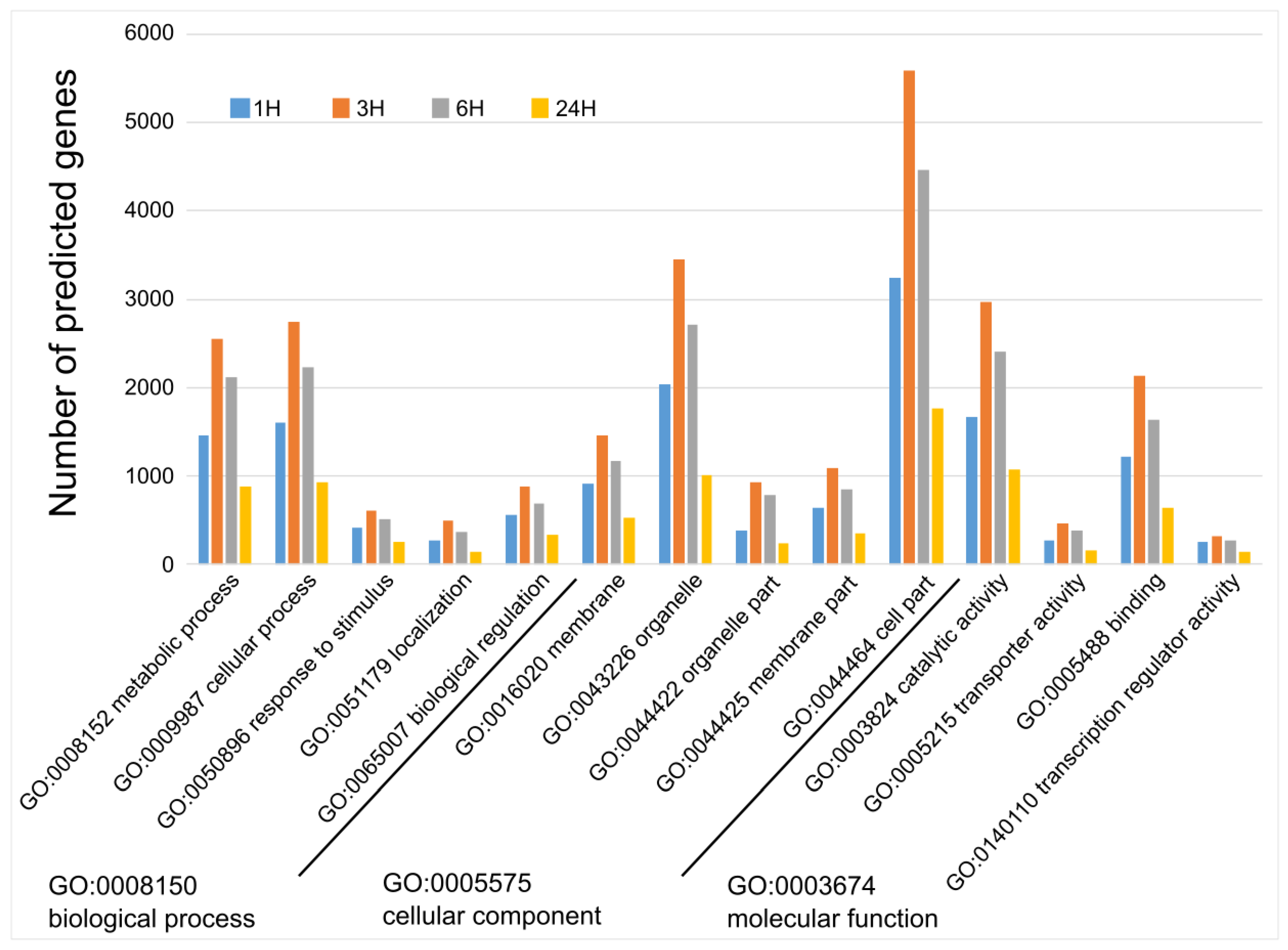 Plants 13 02944 g002