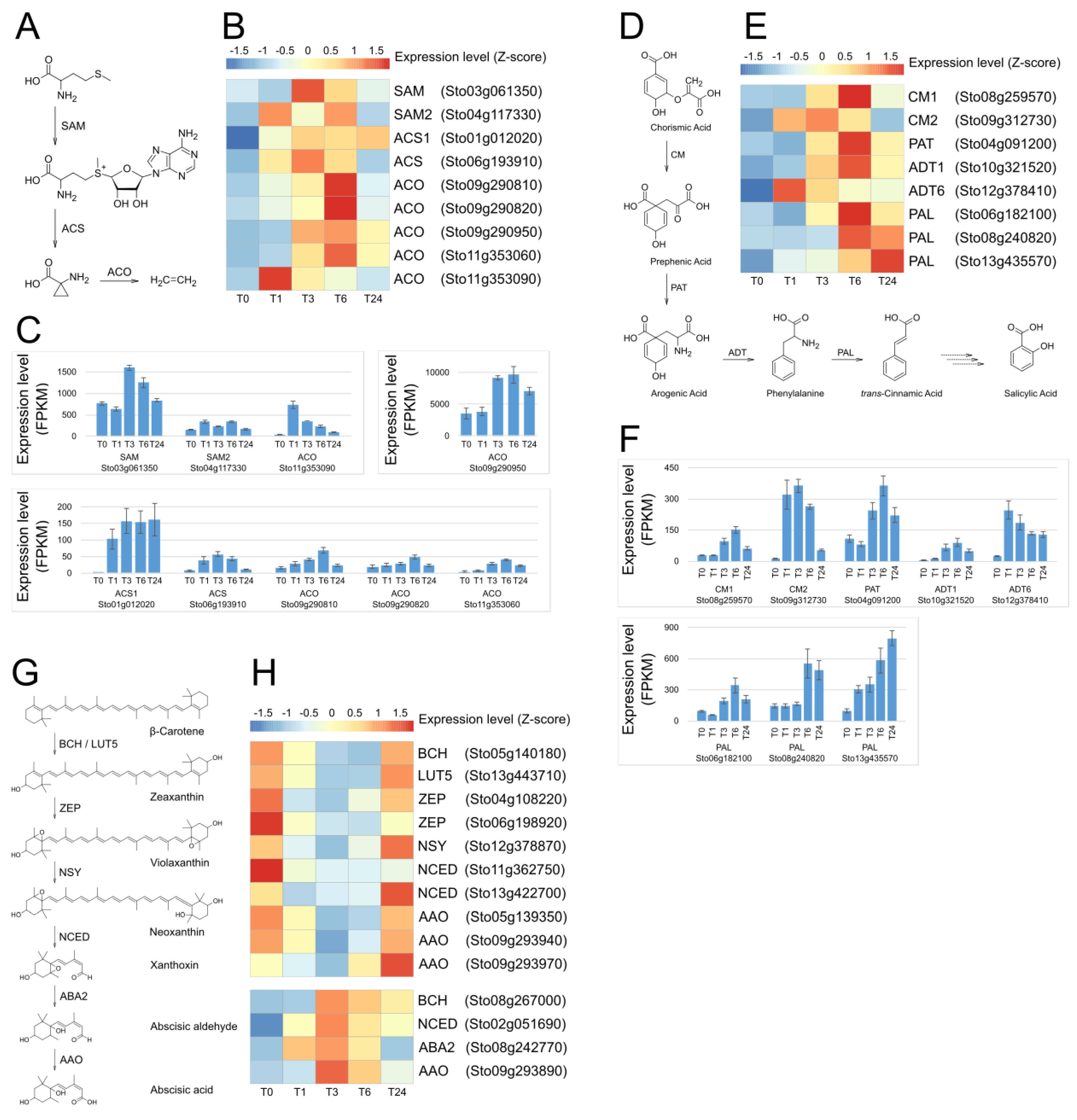 Plants 13 02944 g006