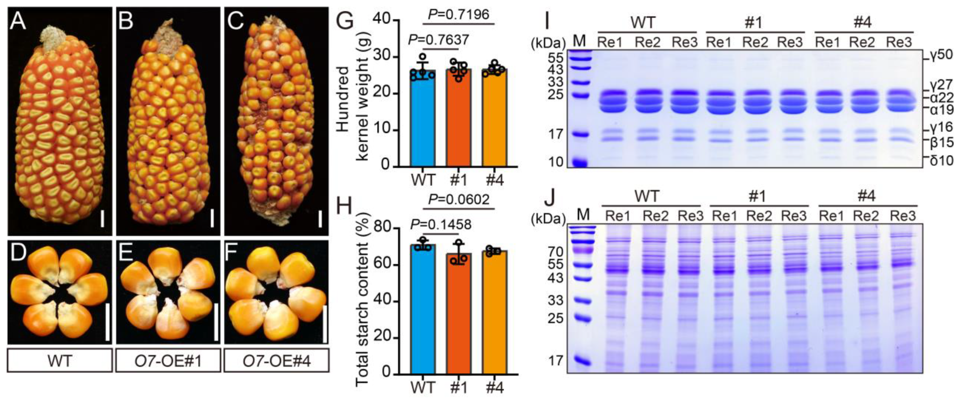 Plants 13 02950 g005