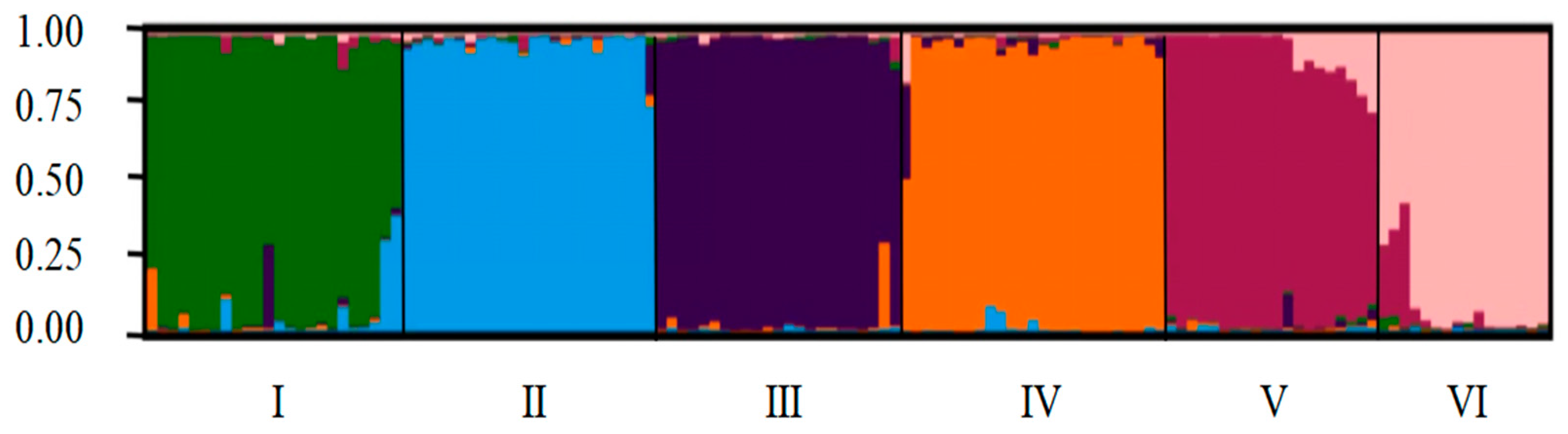 Plants 13 02954 g002