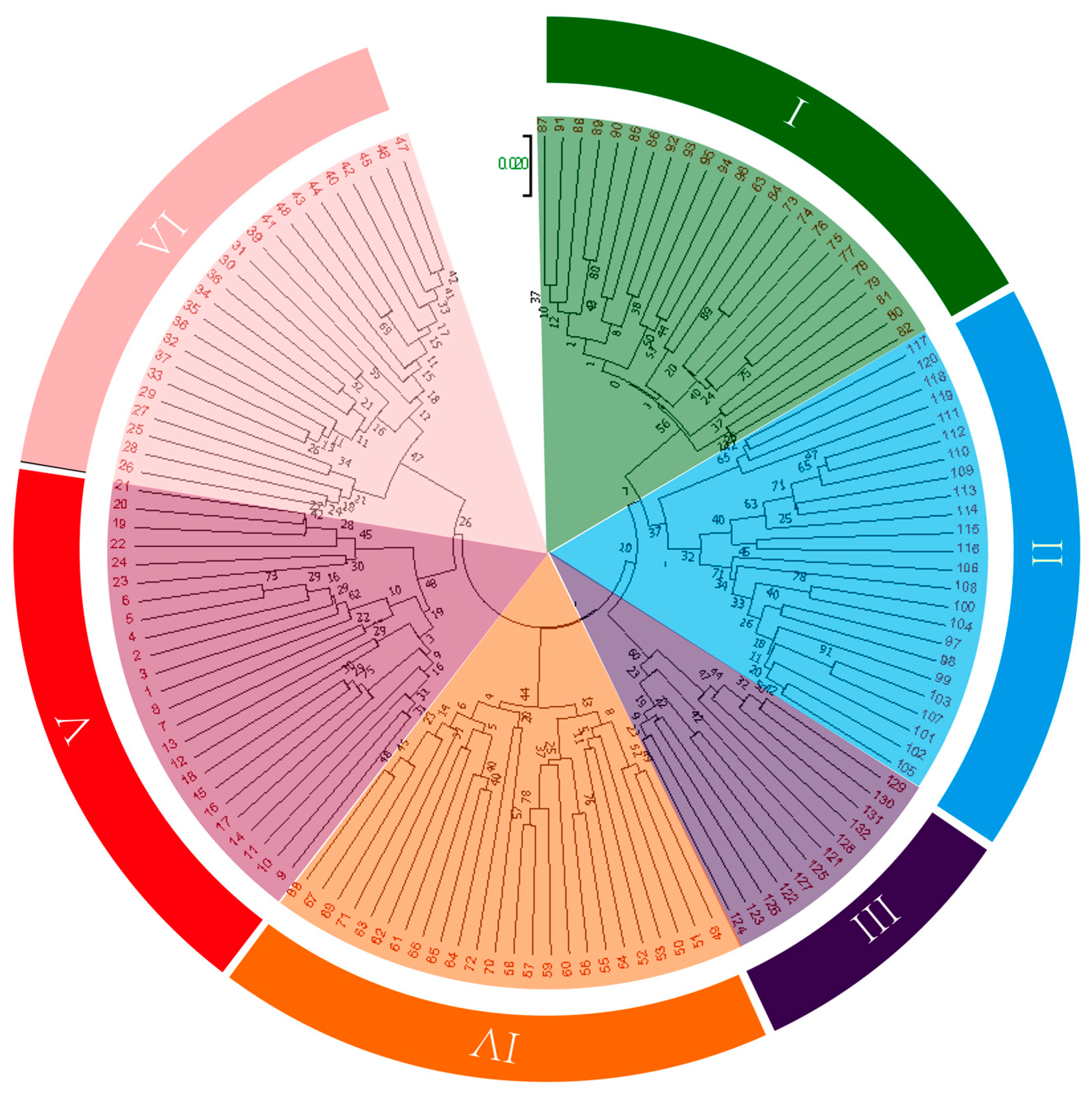 Plants 13 02954 g003