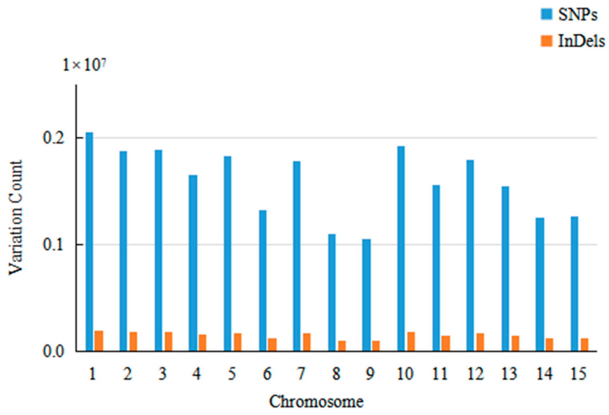 Plants 13 02955 g003