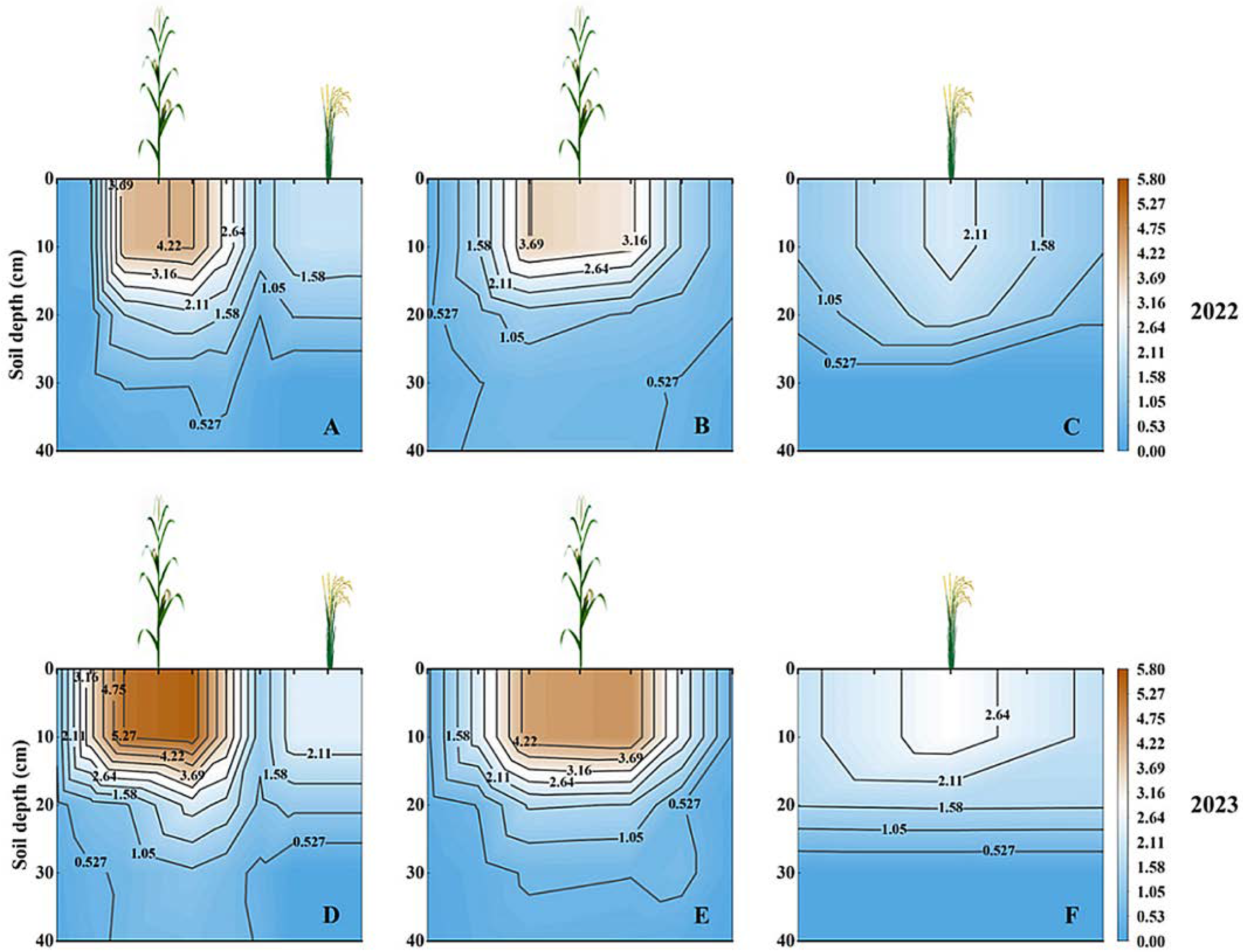Plants 13 02957 g001