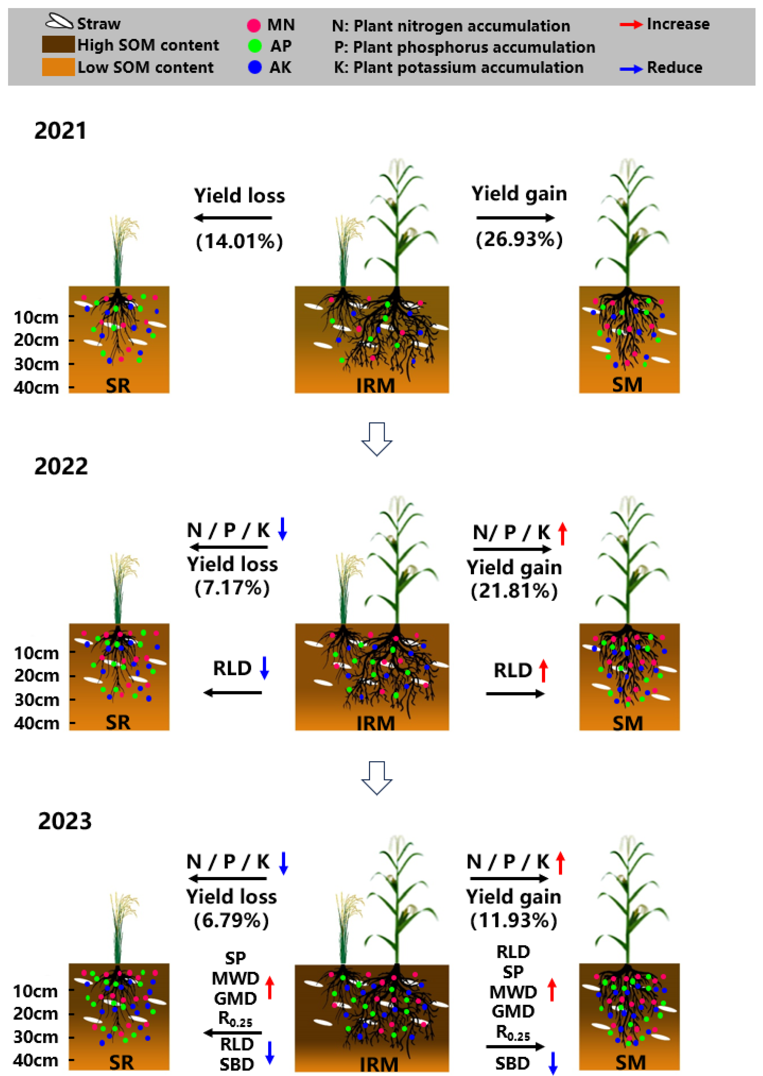 Plants 13 02957 g006