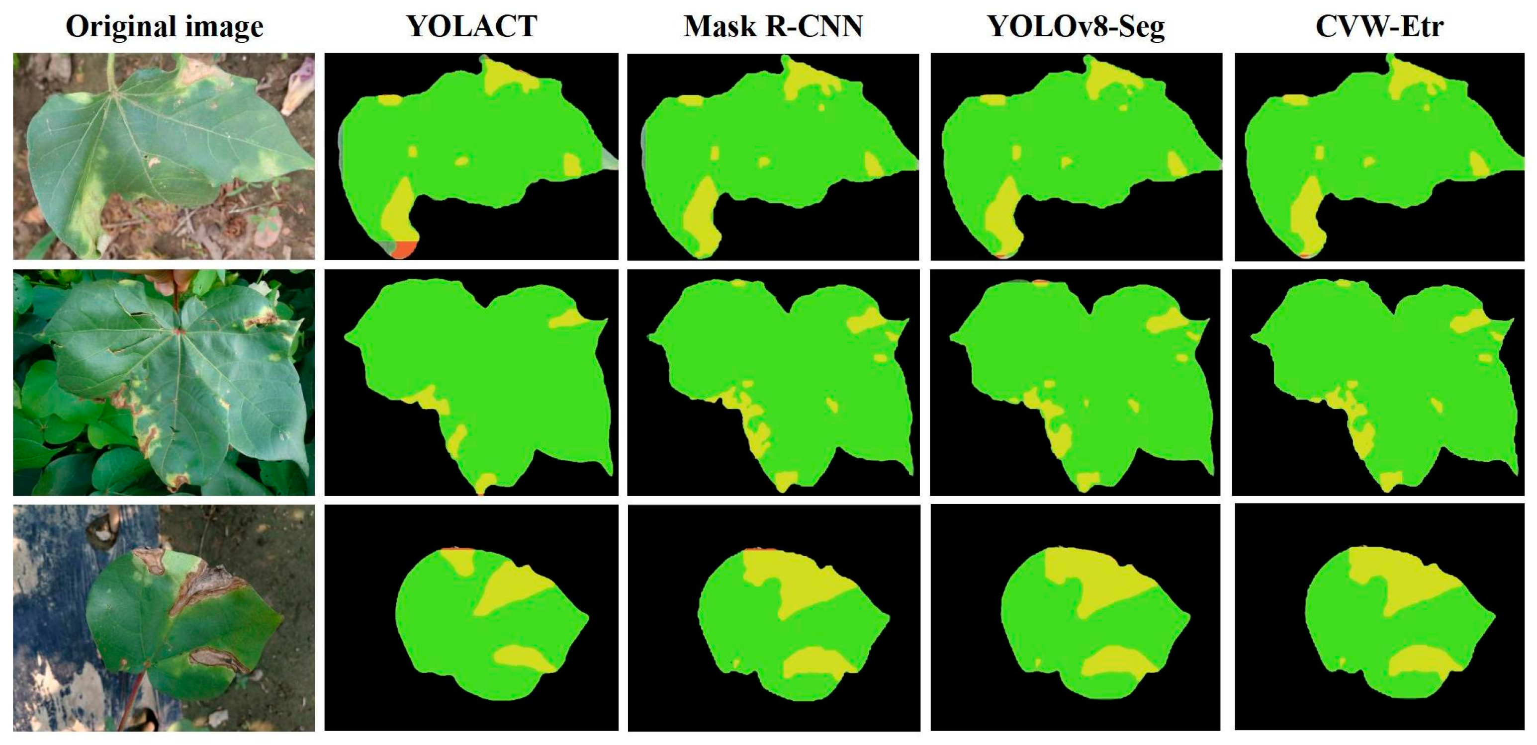 Plants 13 02960 g007
