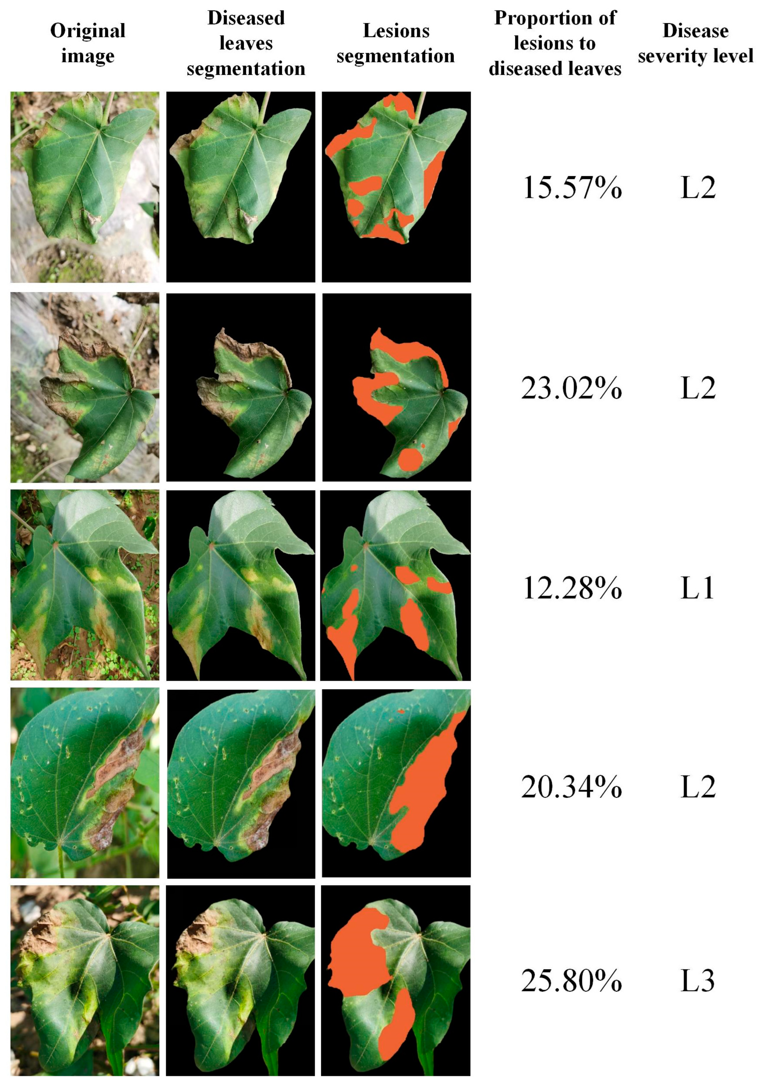 Plants 13 02960 g008