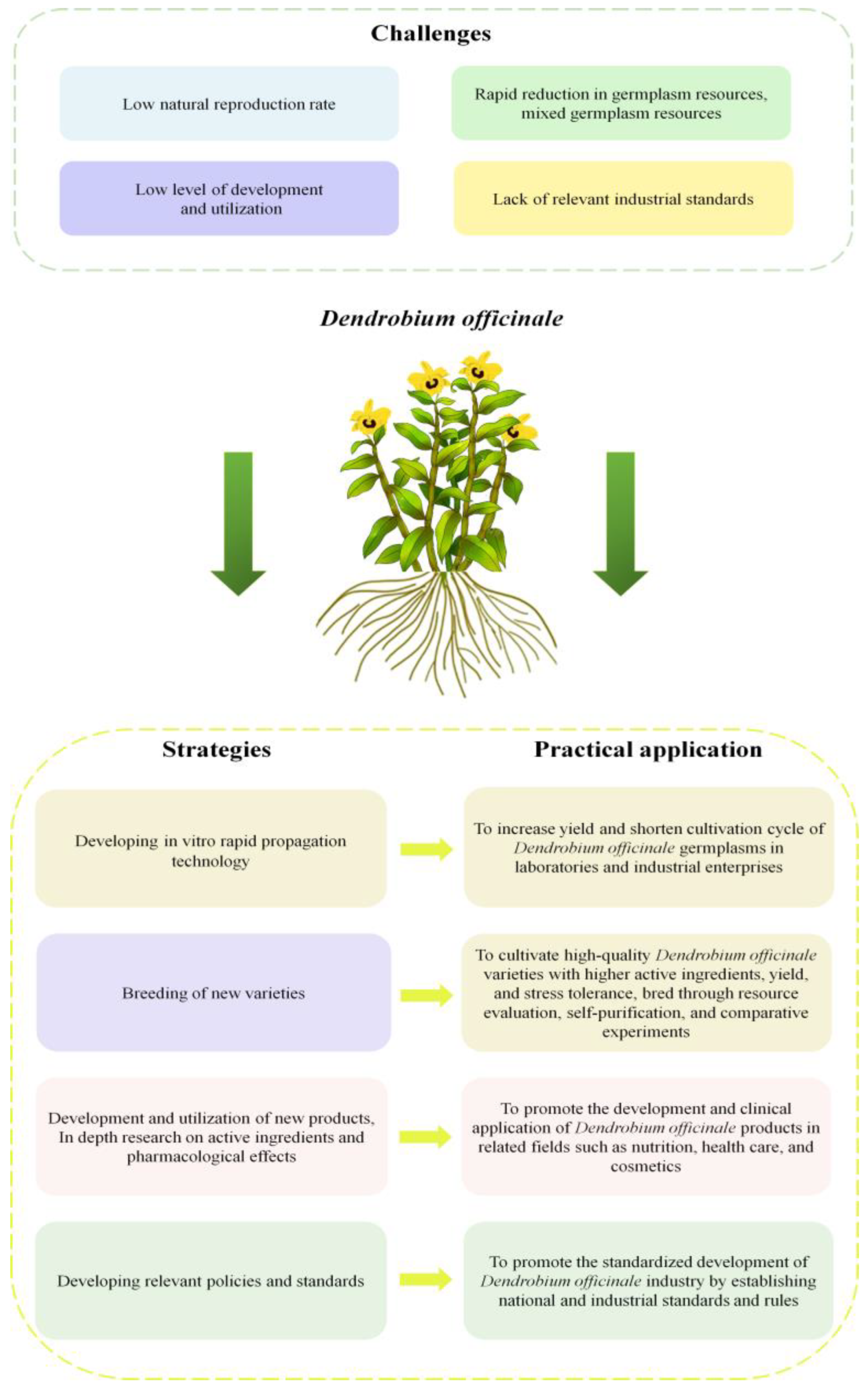 Plants 13 02961 g001