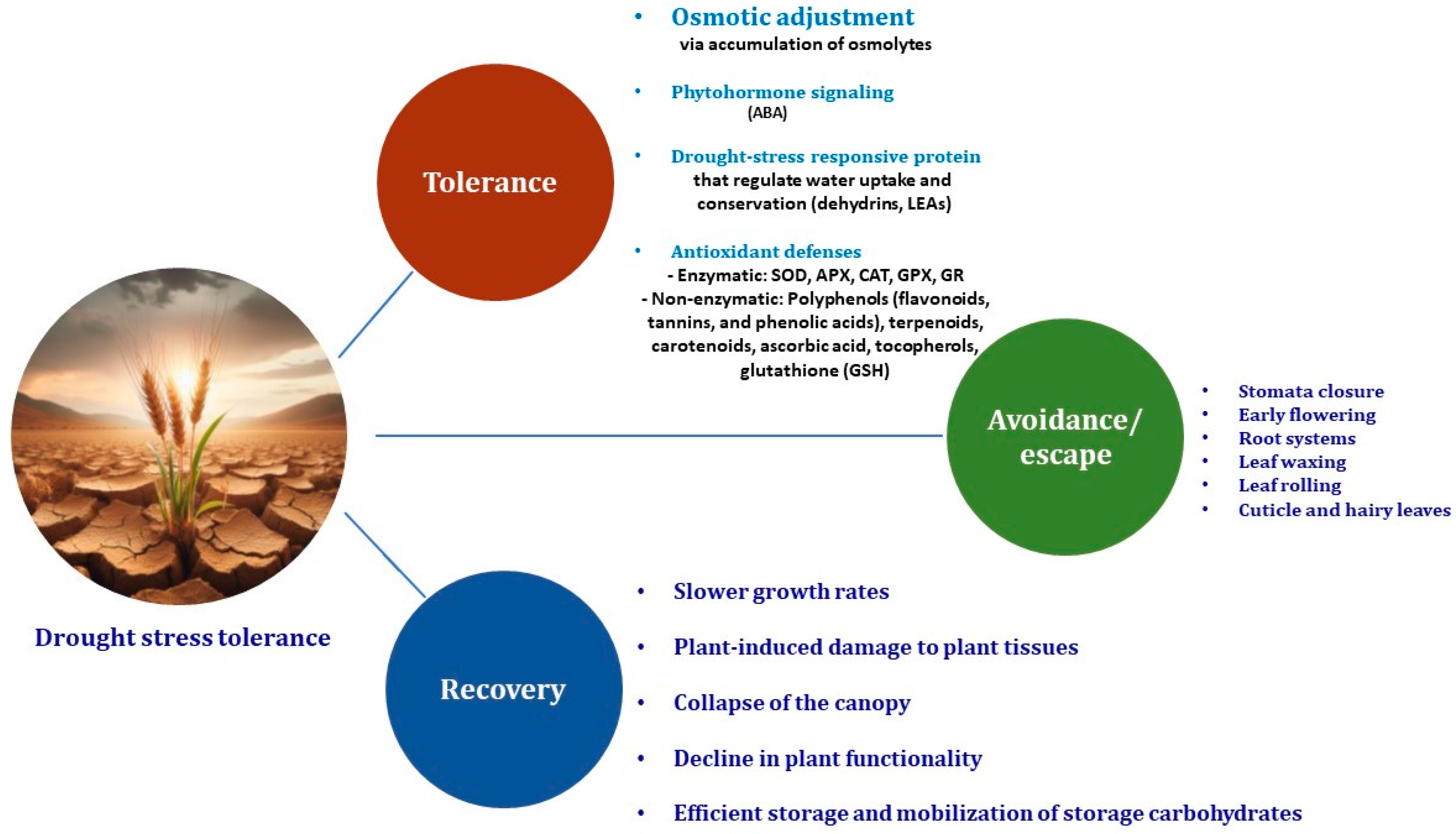 Plants 13 02962 g002 Plants 13 02962 g002