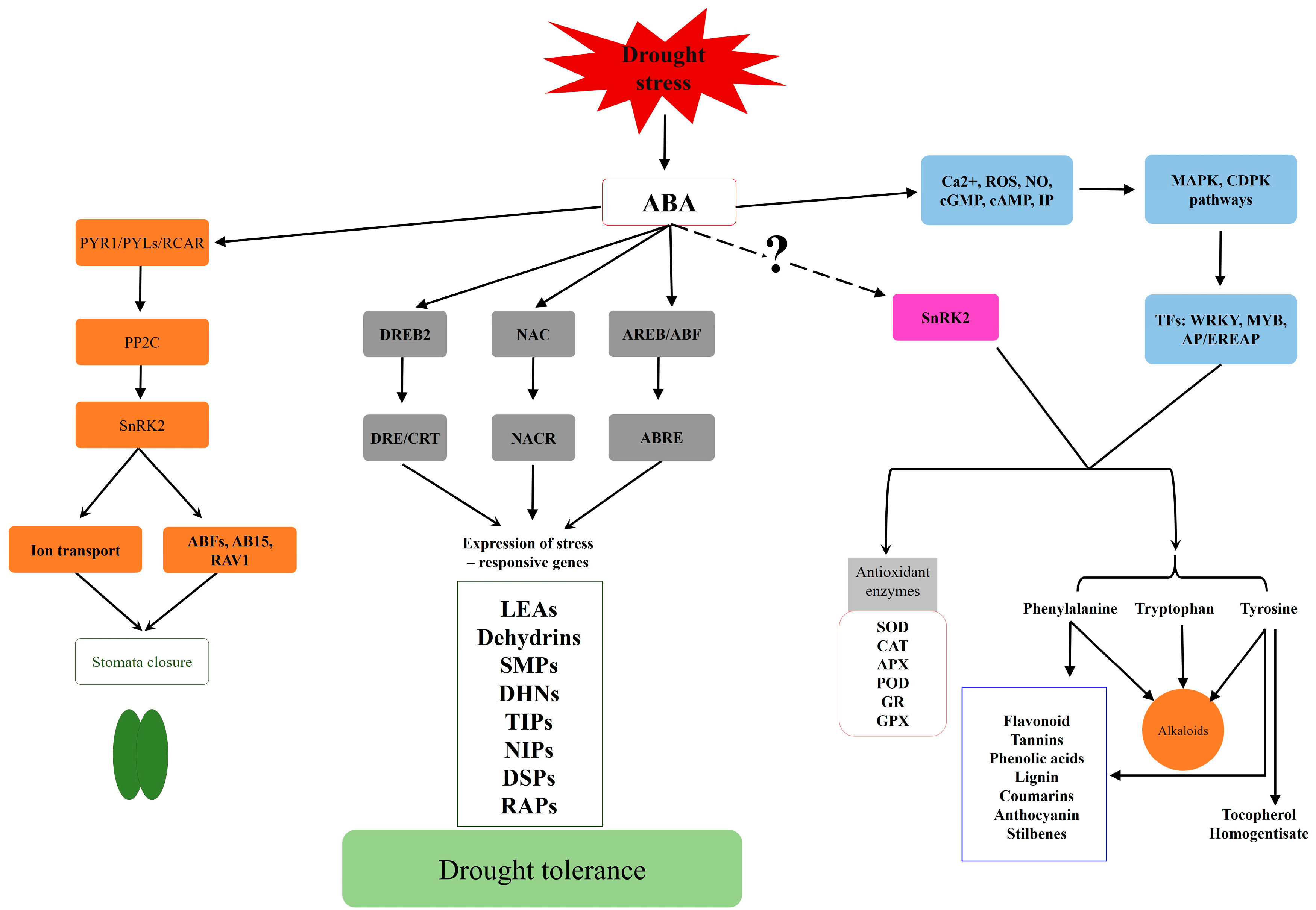 Plants 13 02962 g003 Plants 13 02962 g003