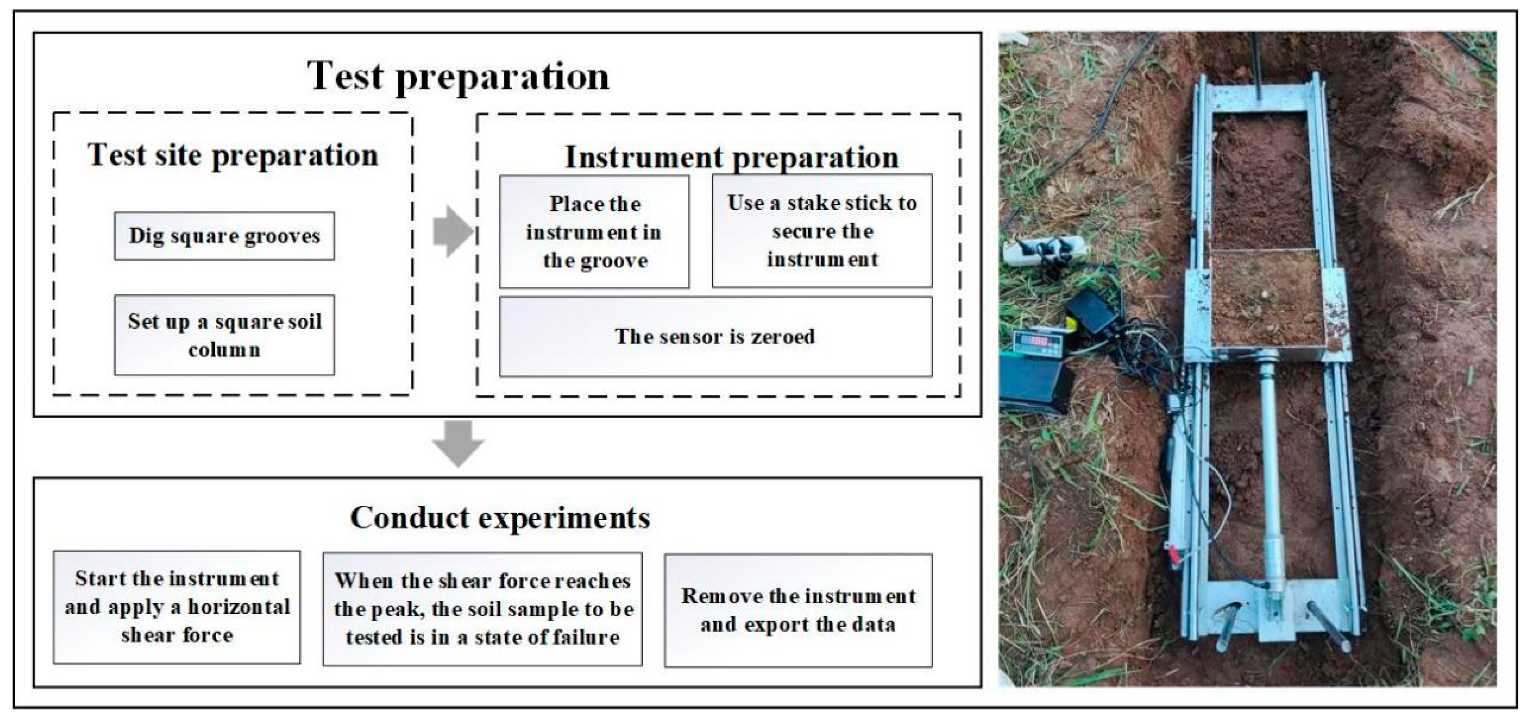 Plants 13 02963 g002