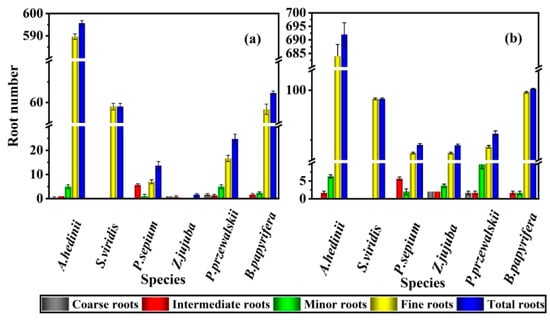 Plants 13 02963 g0a3
