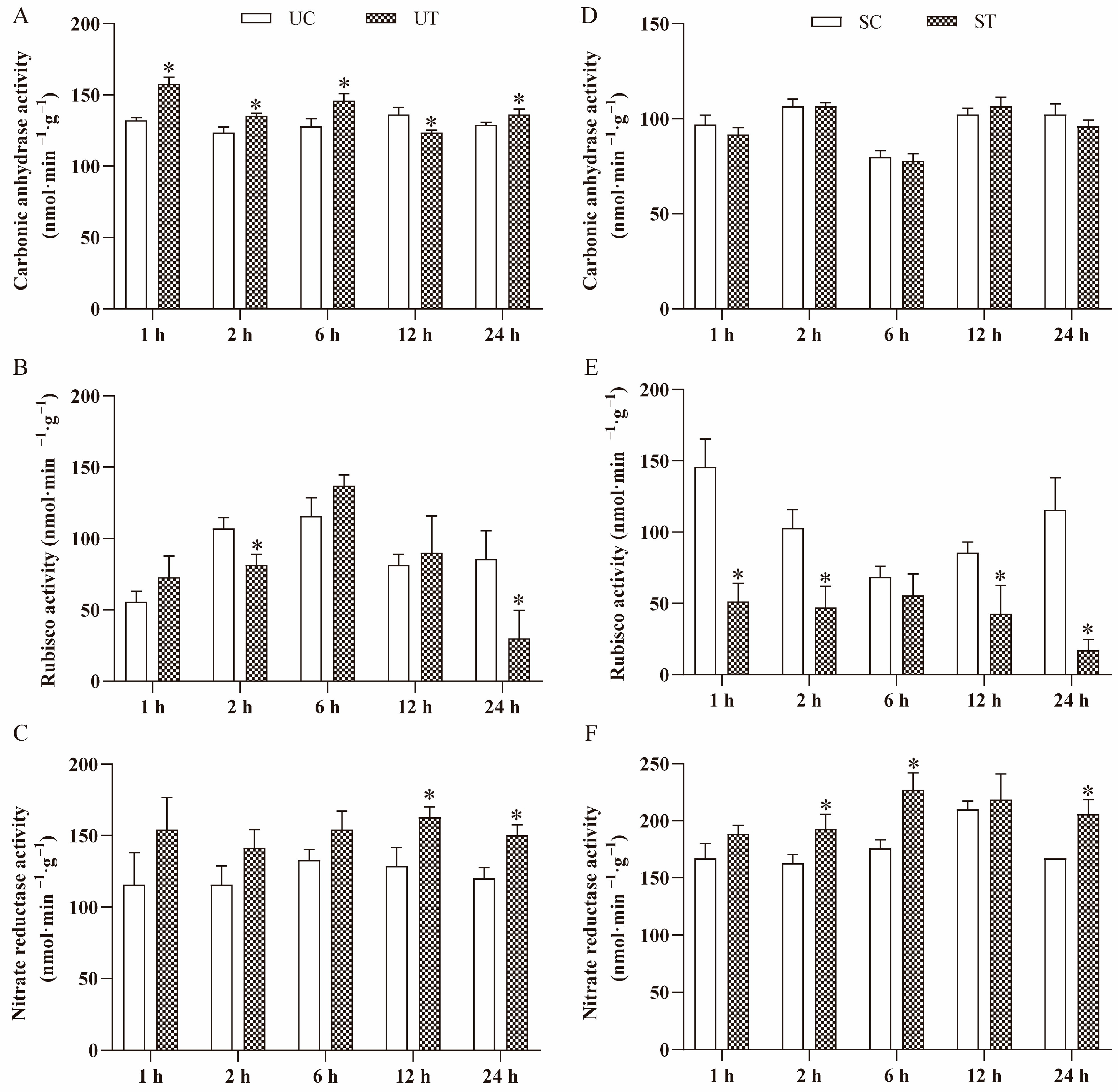 Plants 13 02966 g004