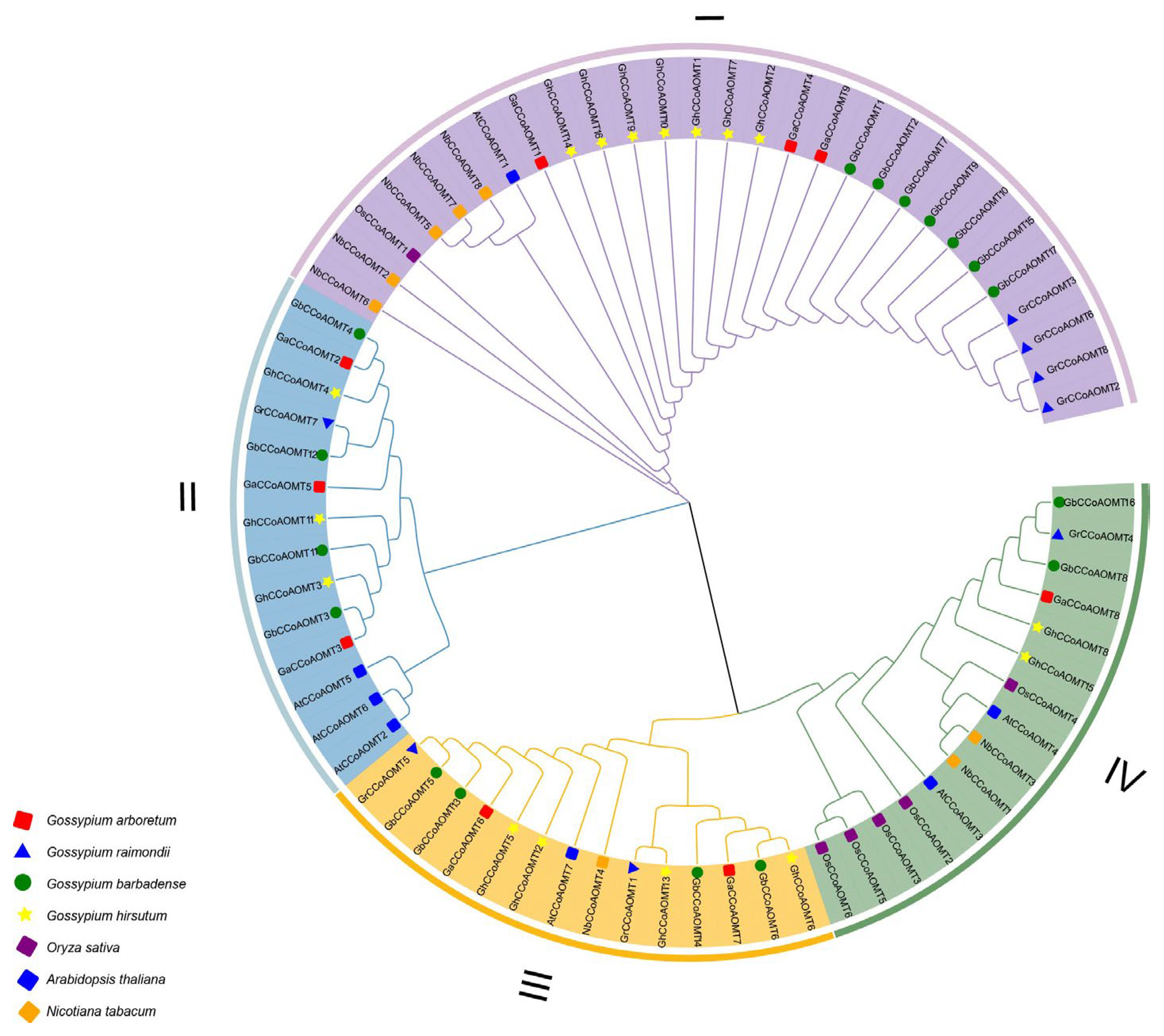Plants 13 02969 g001