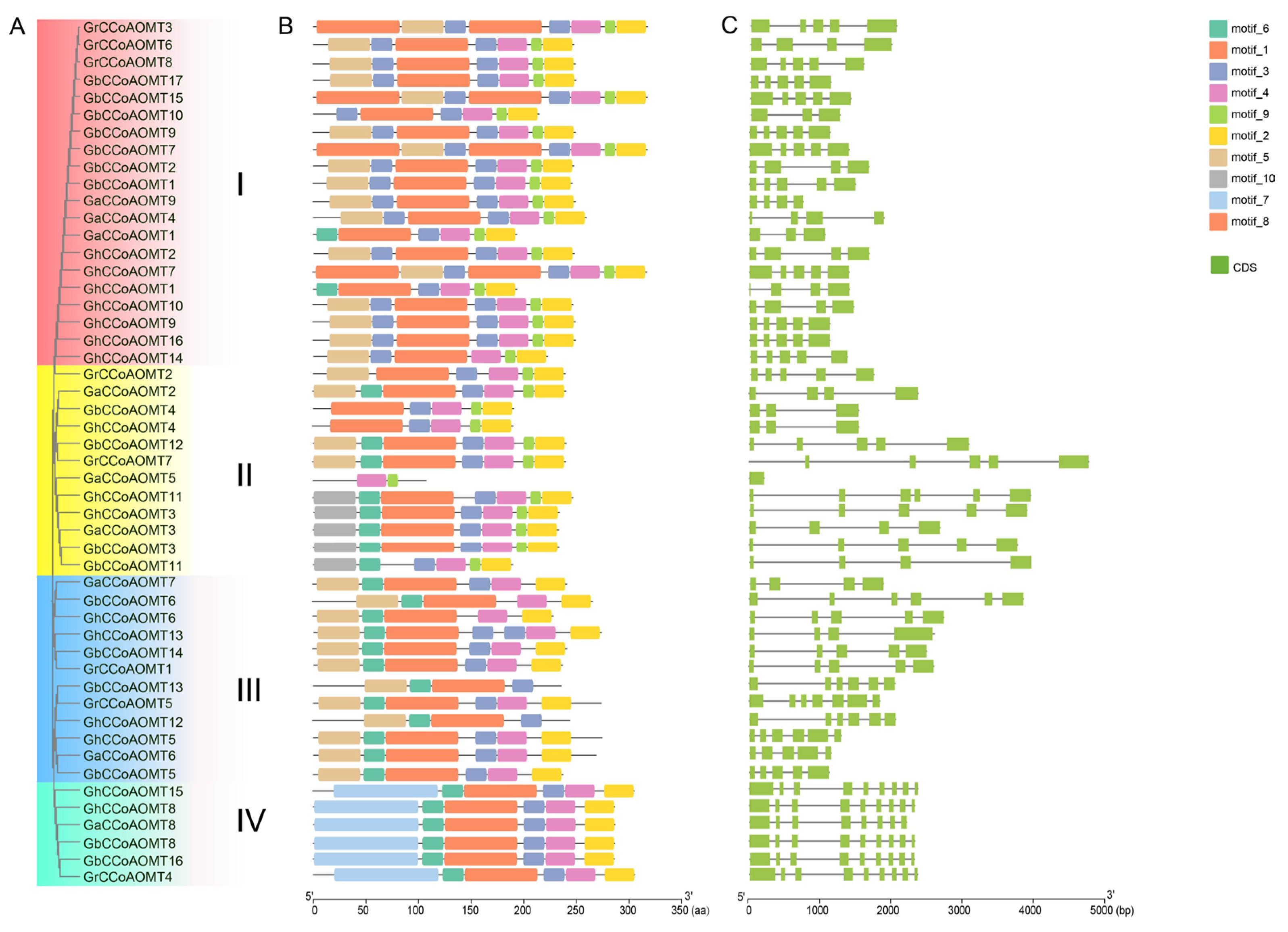 Plants 13 02969 g002
