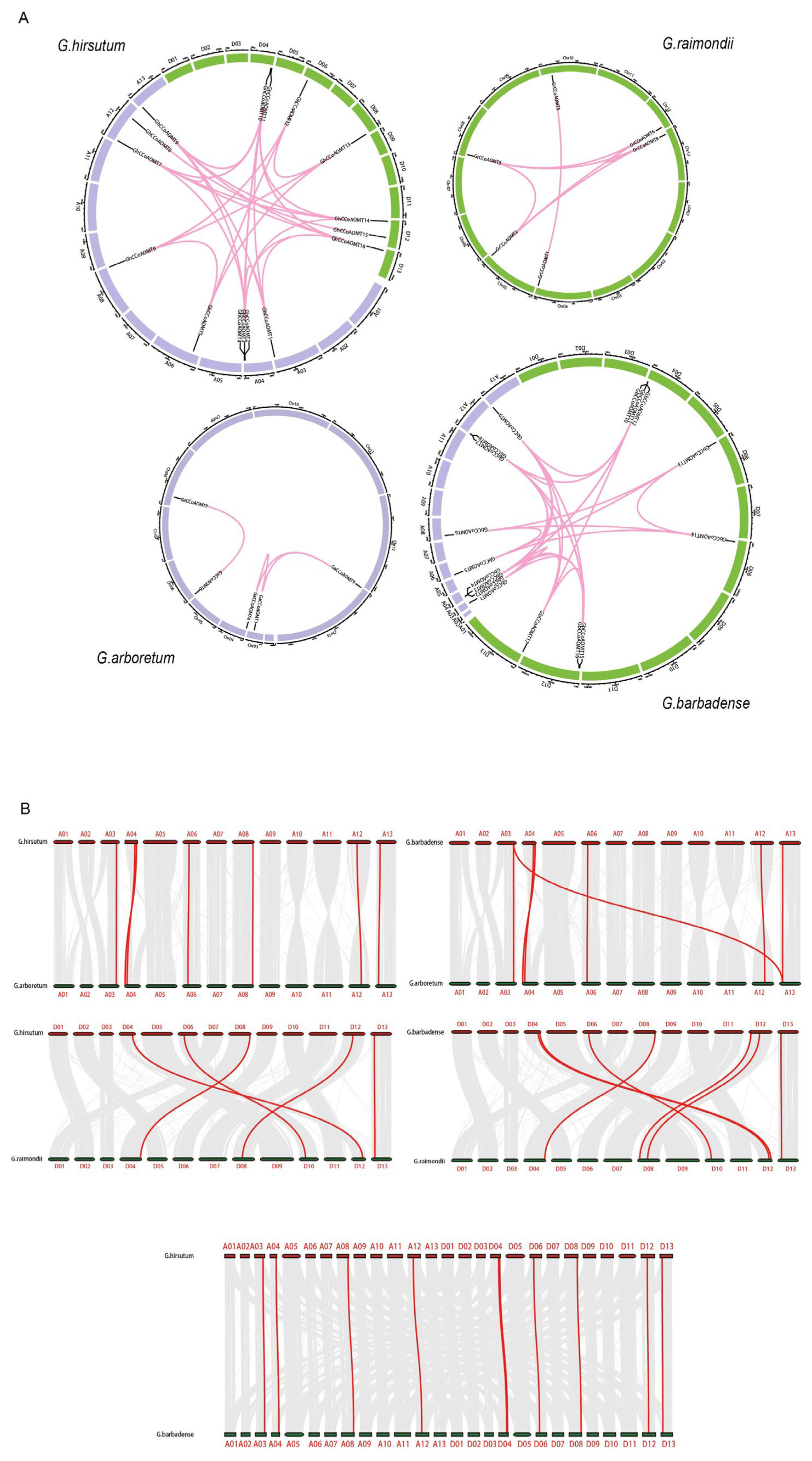 Plants 13 02969 g003