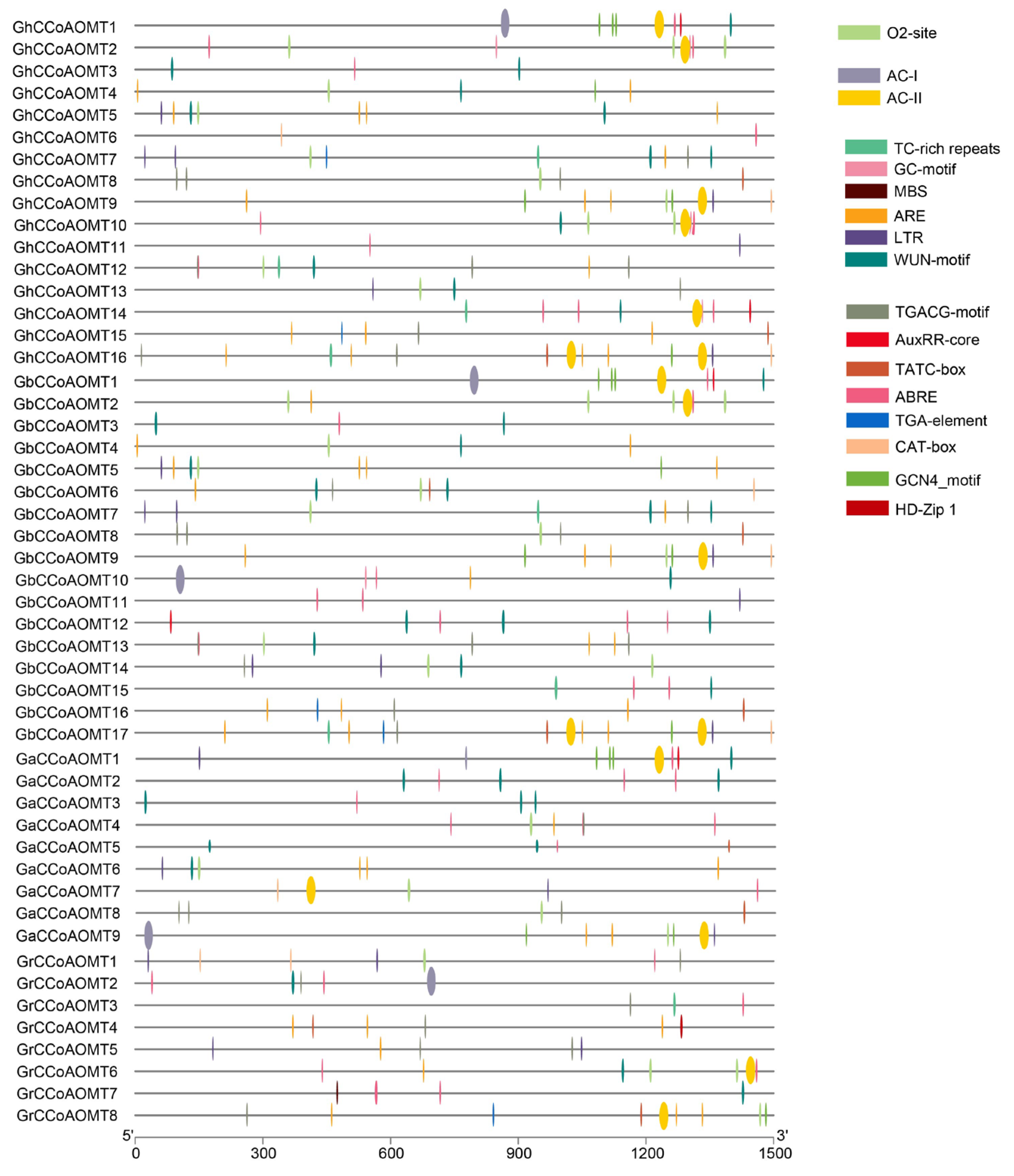 Plants 13 02969 g004