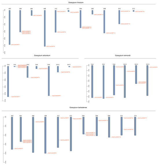 Plants 13 02969 g0a1