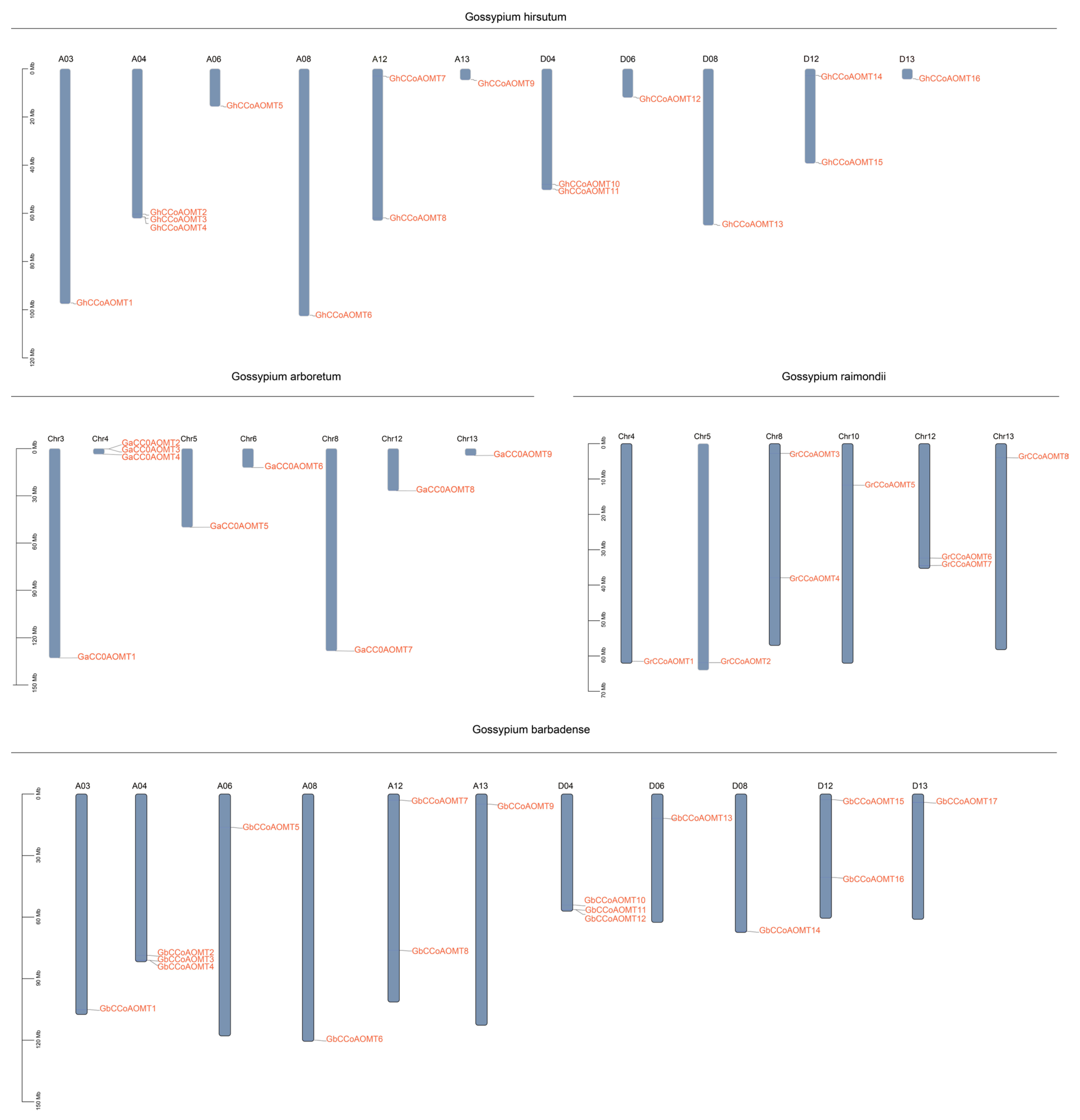 Plants 13 02969 g0a1