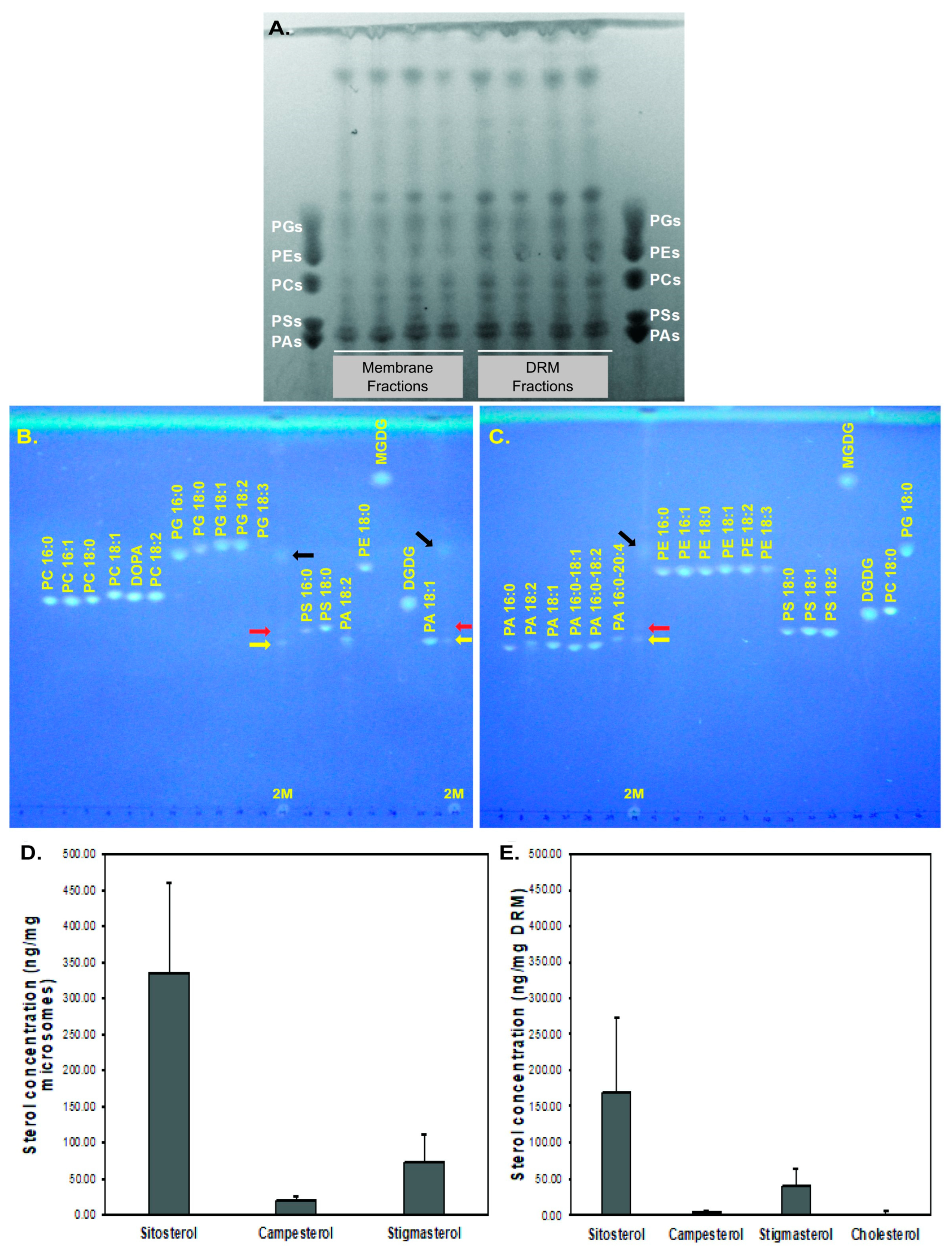 Plants 13 02970 g002