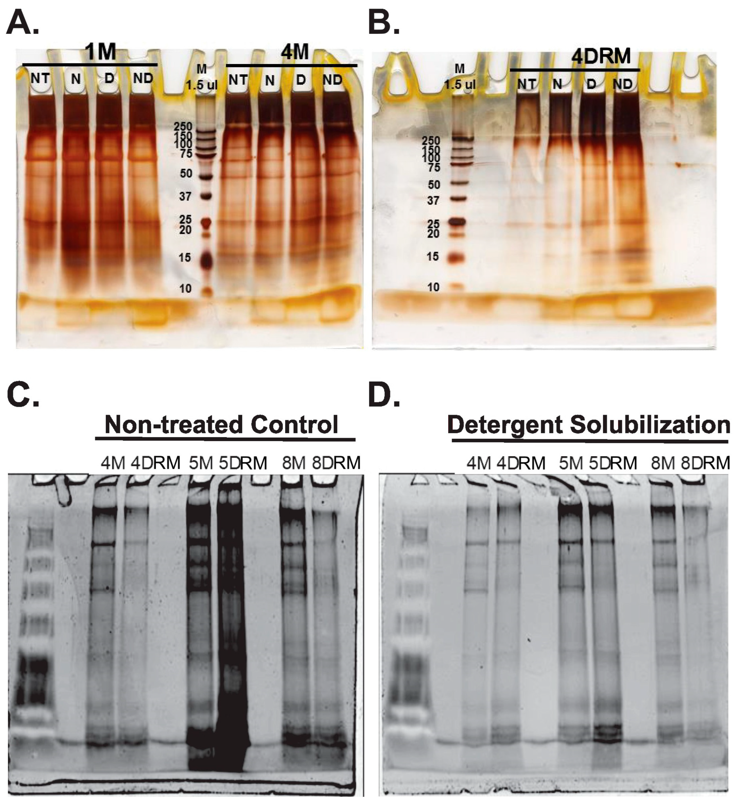 Plants 13 02970 g003