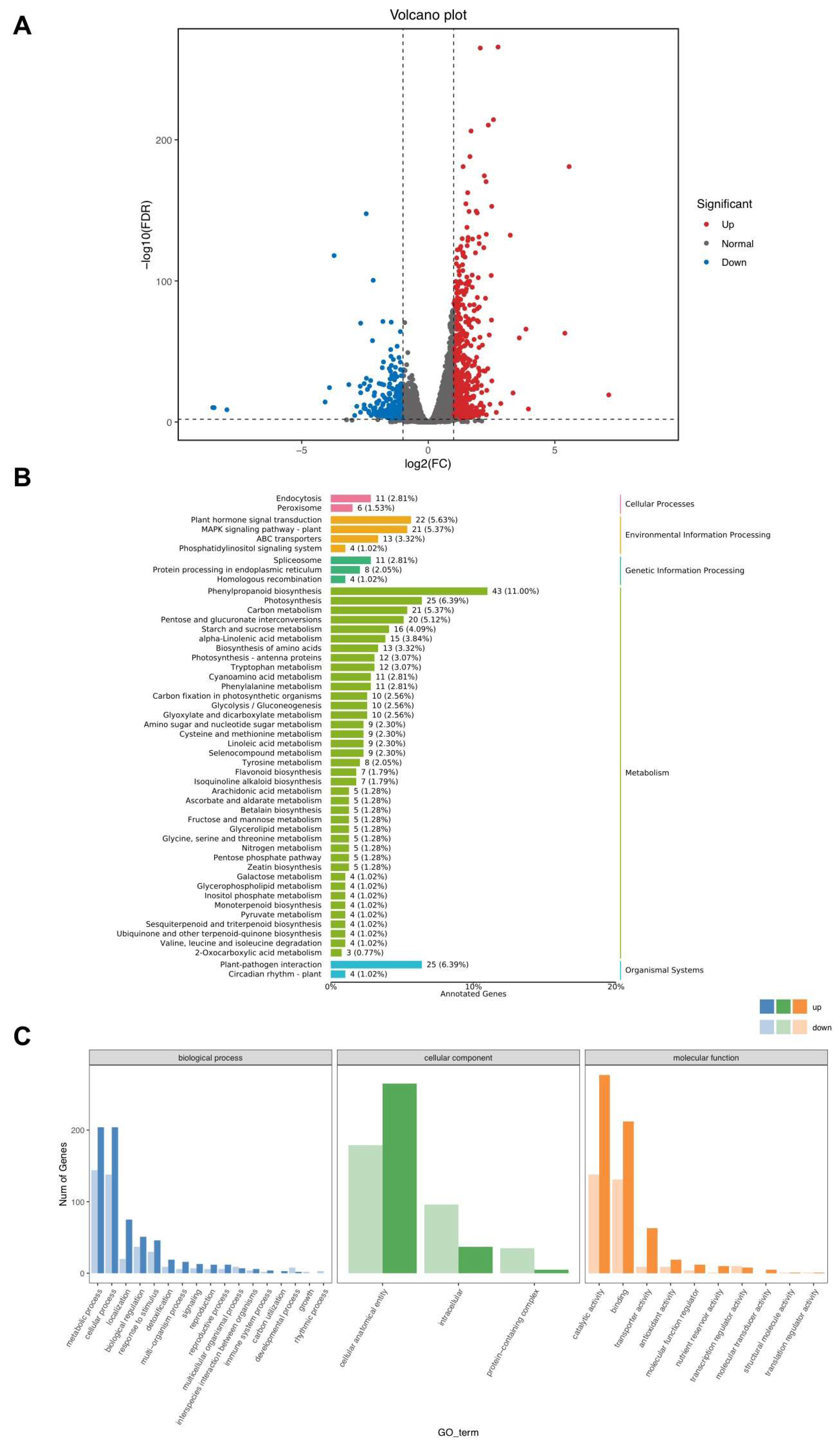 Plants 13 02971 g004