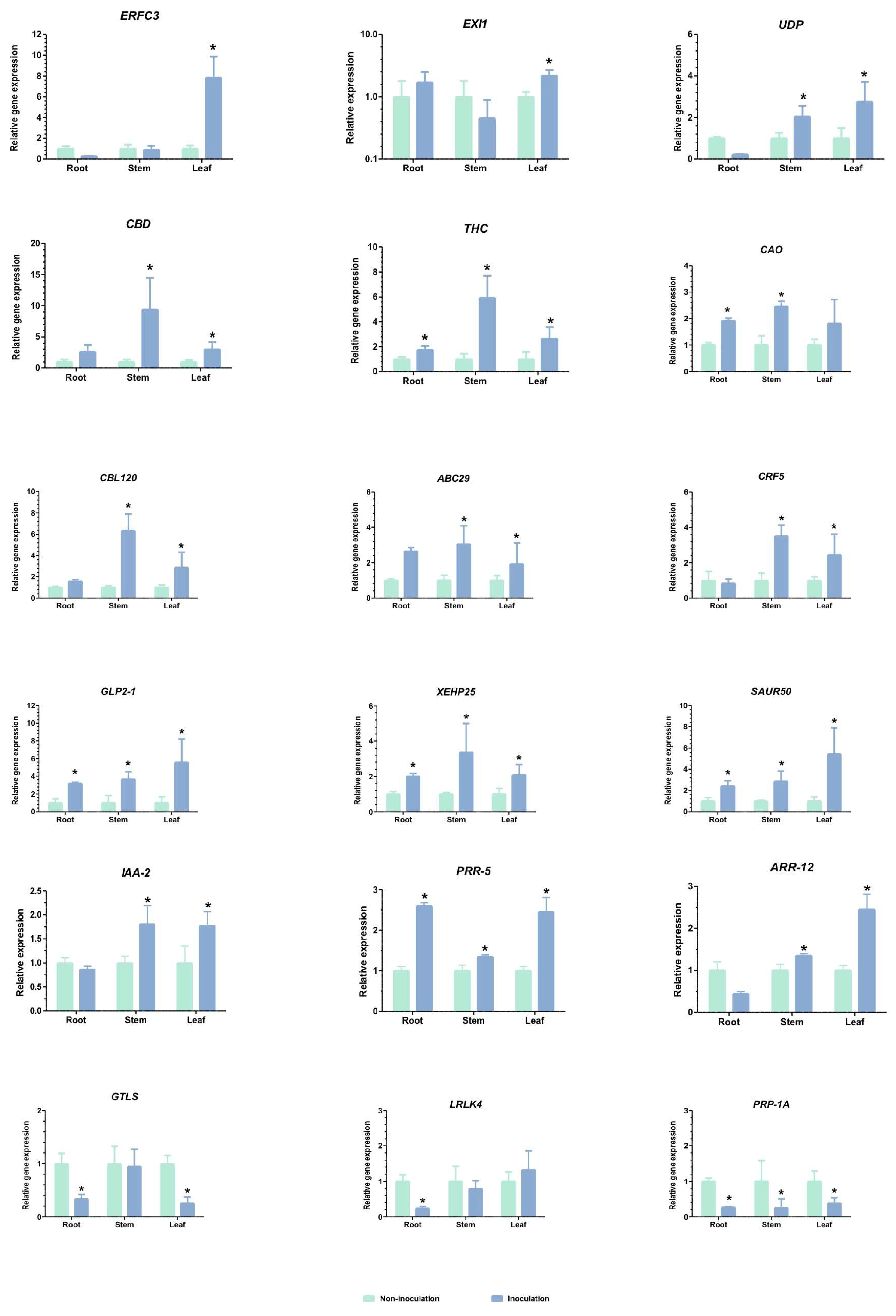 Plants 13 02971 g005