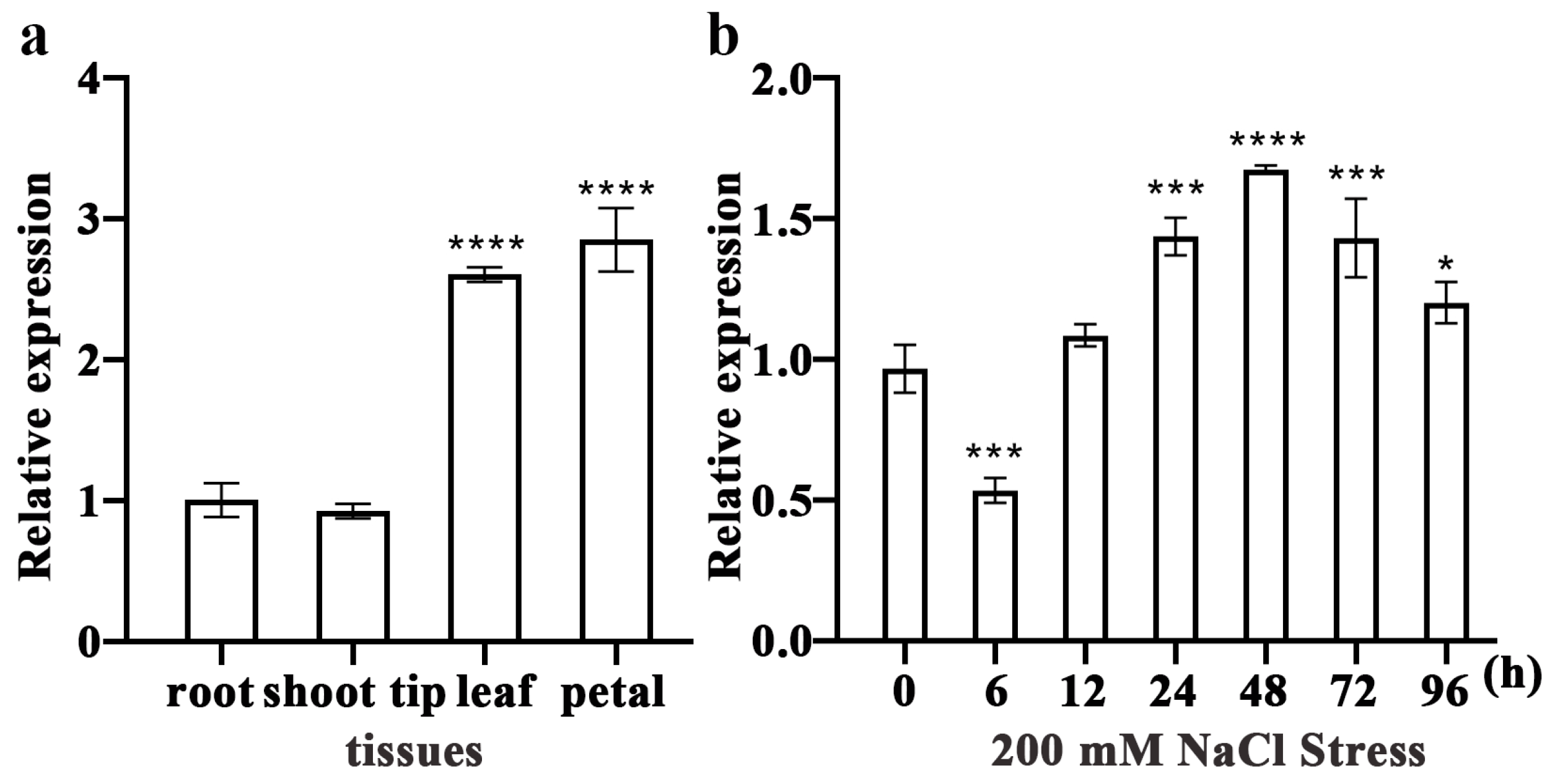 Plants 13 02973 g002
