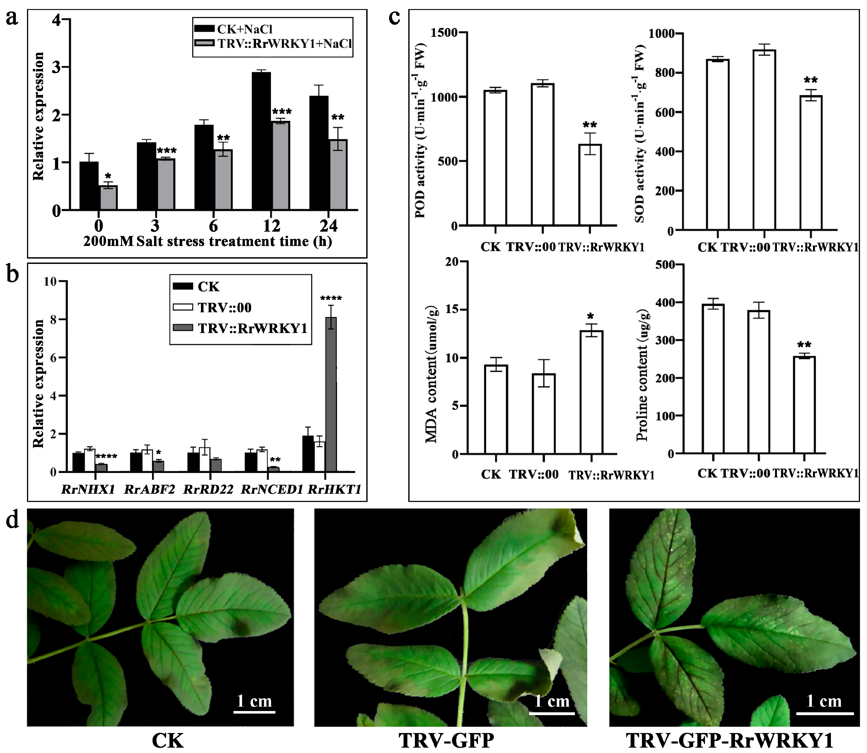 Plants 13 02973 g004
