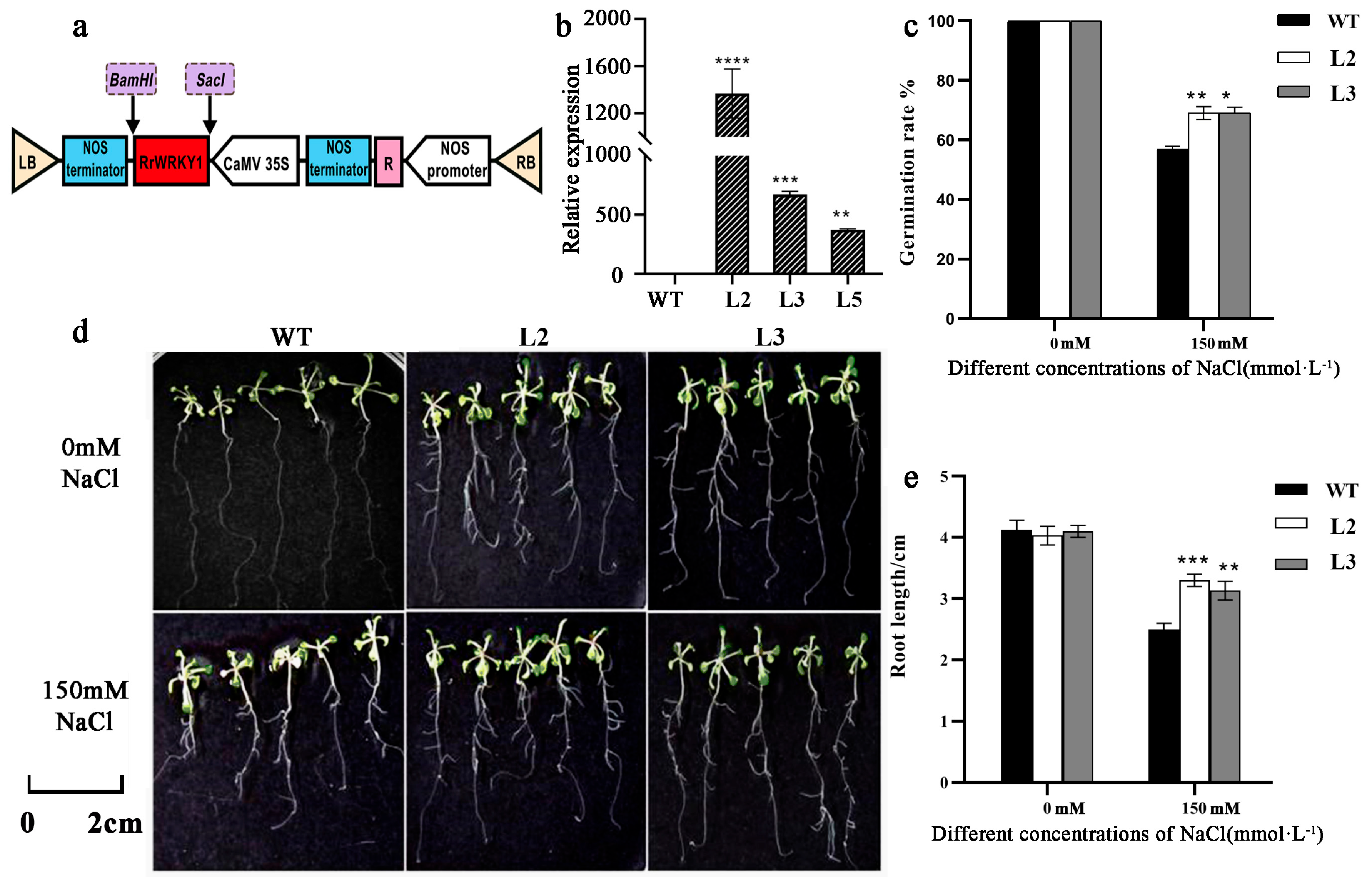 Plants 13 02973 g005