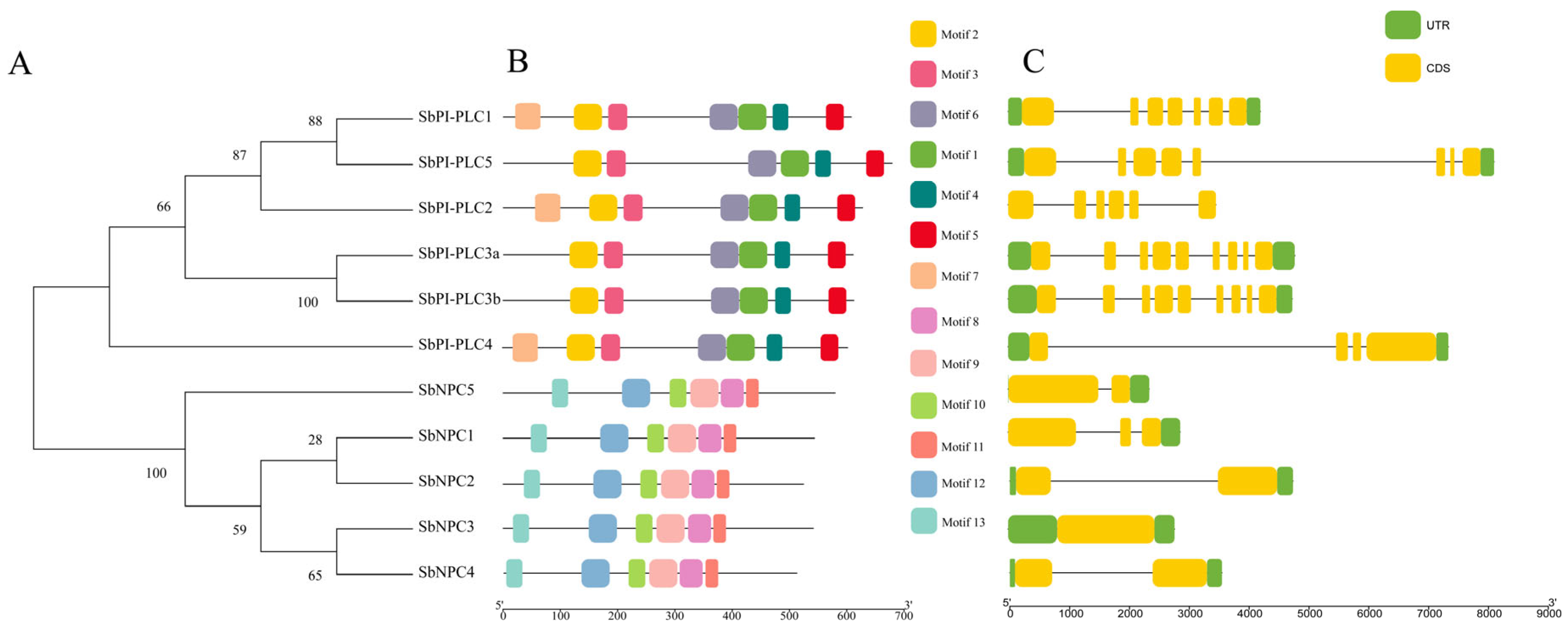 Plants 13 02976 g002