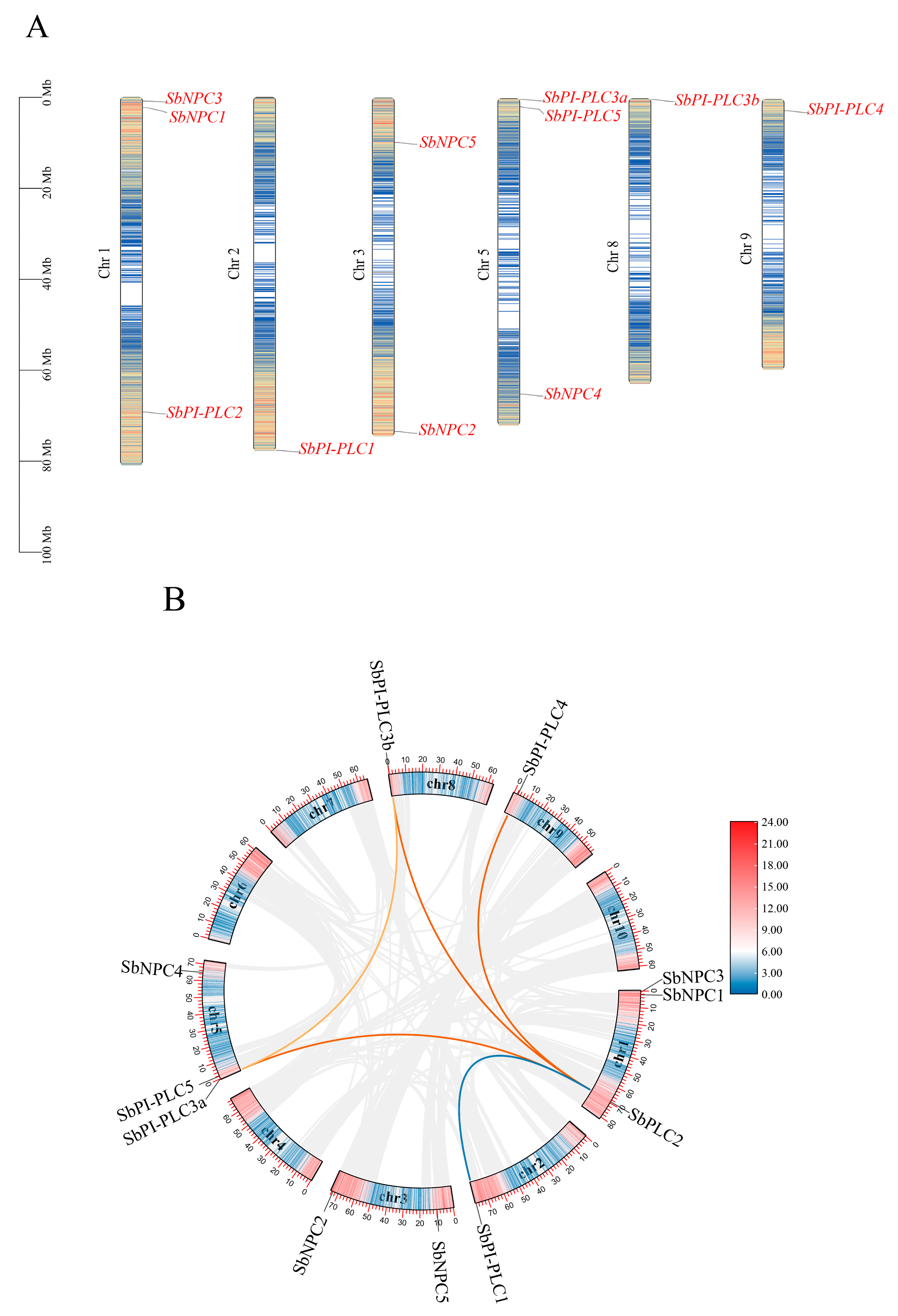 Plants 13 02976 g003