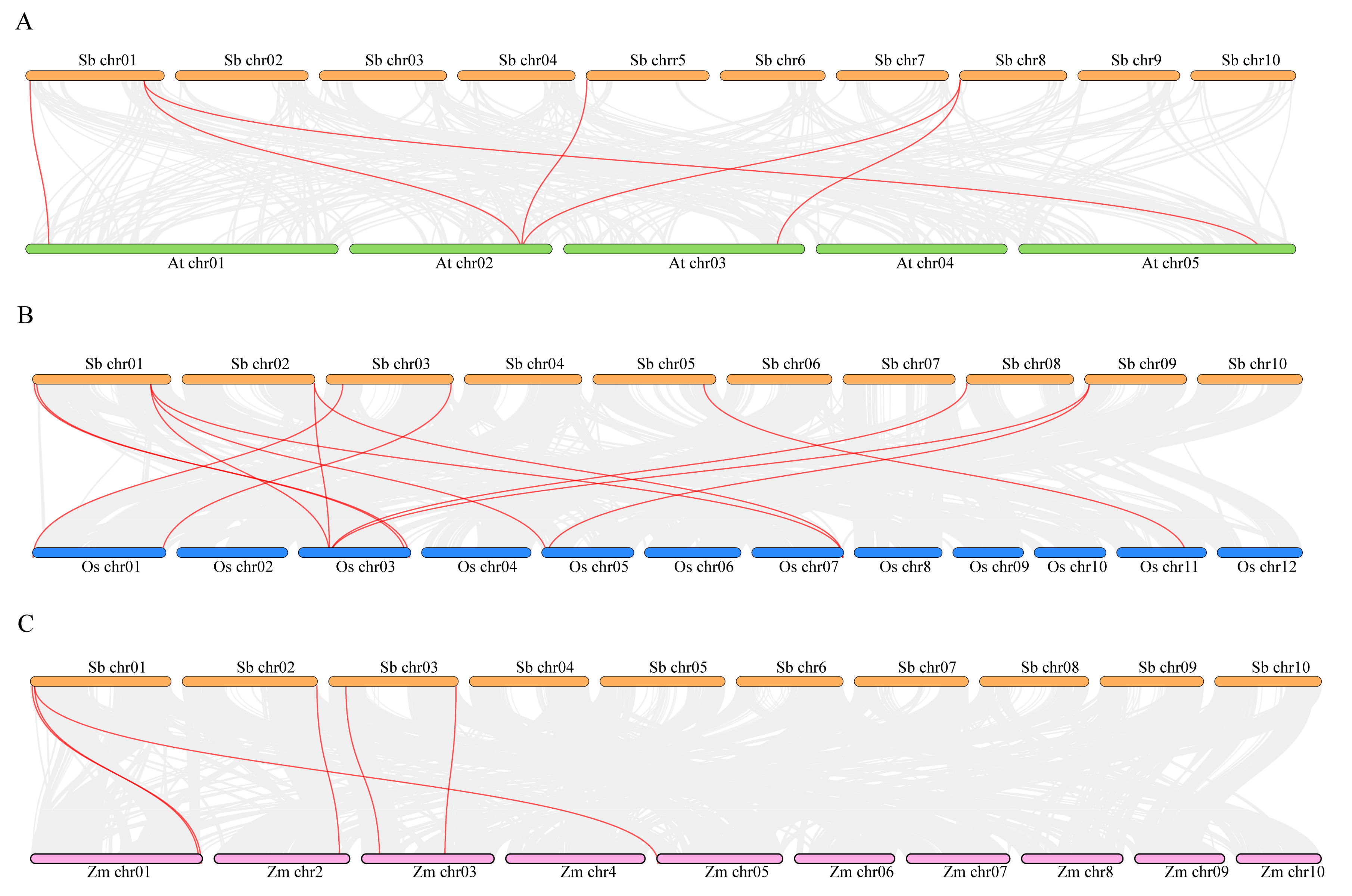 Plants 13 02976 g004