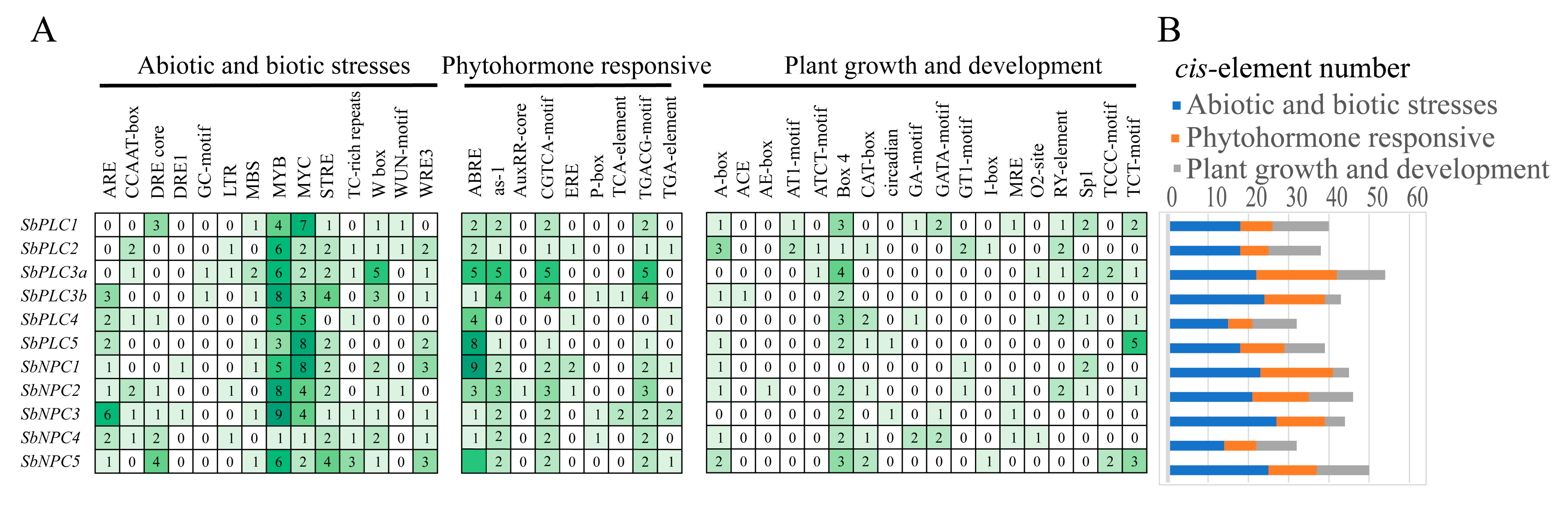 Plants 13 02976 g005