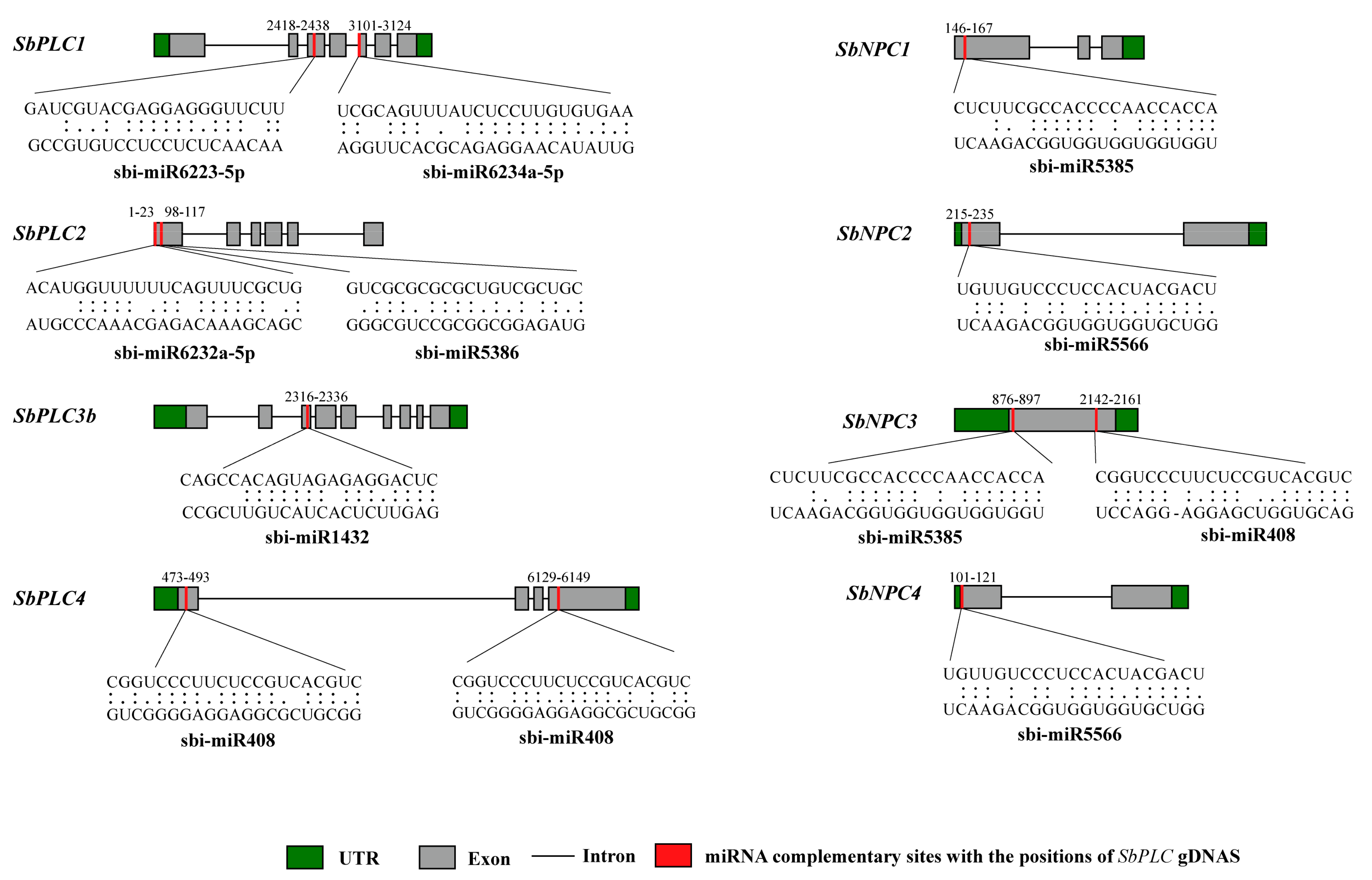Plants 13 02976 g007