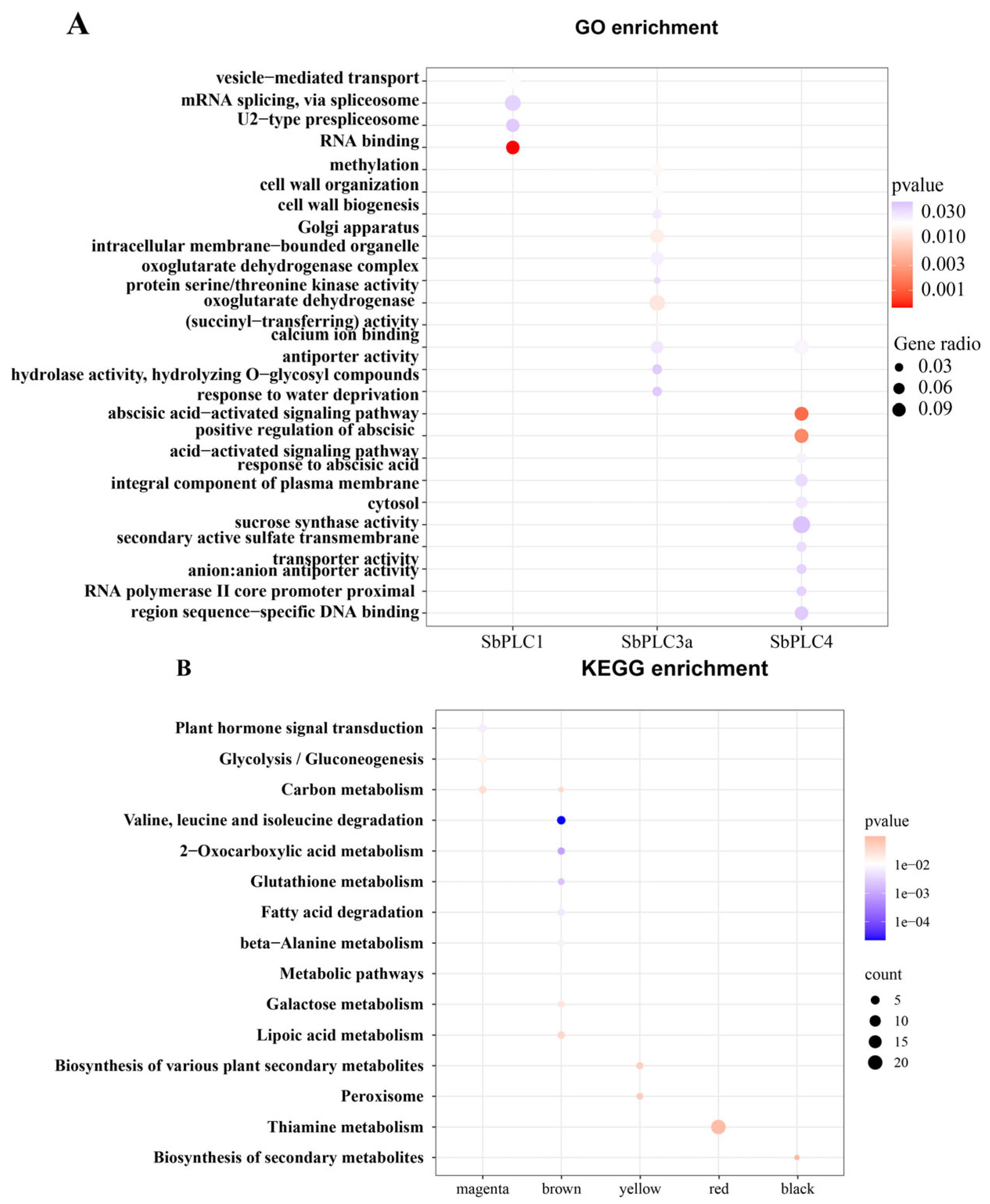 Plants 13 02976 g011