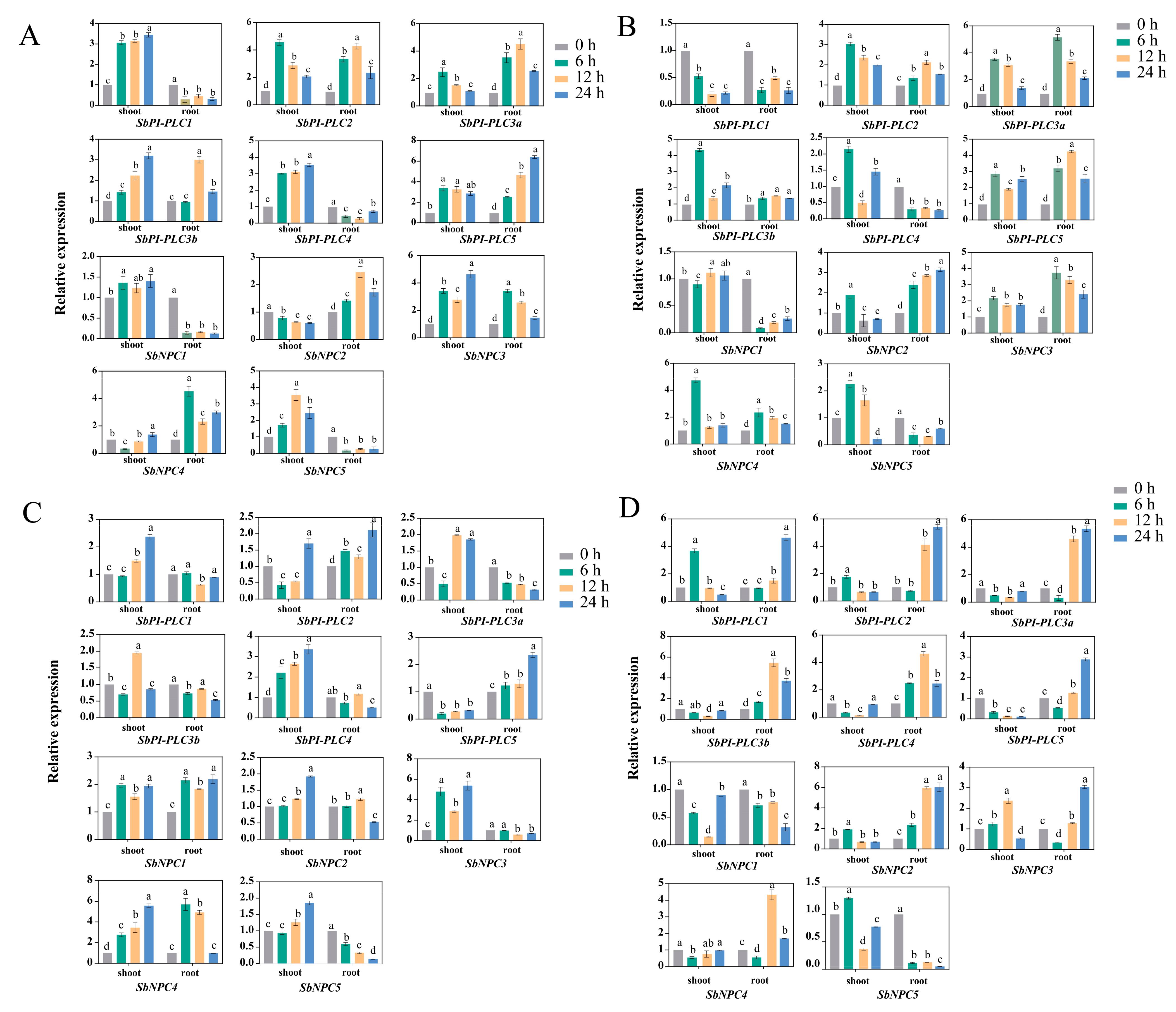 Plants 13 02976 g012