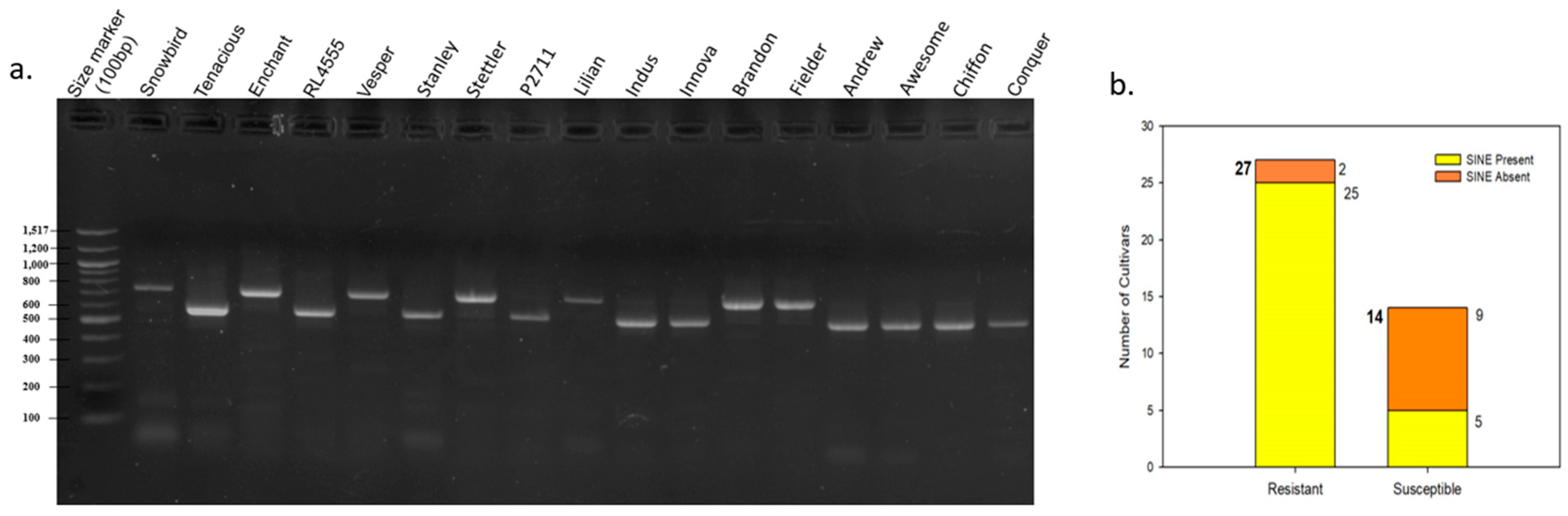 Plants 13 02981 g002