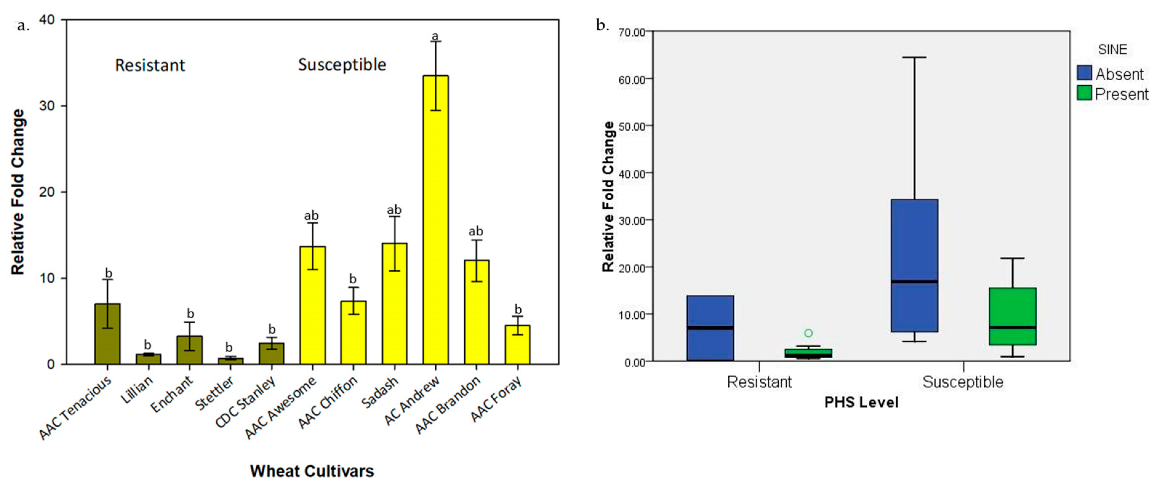Plants 13 02981 g003