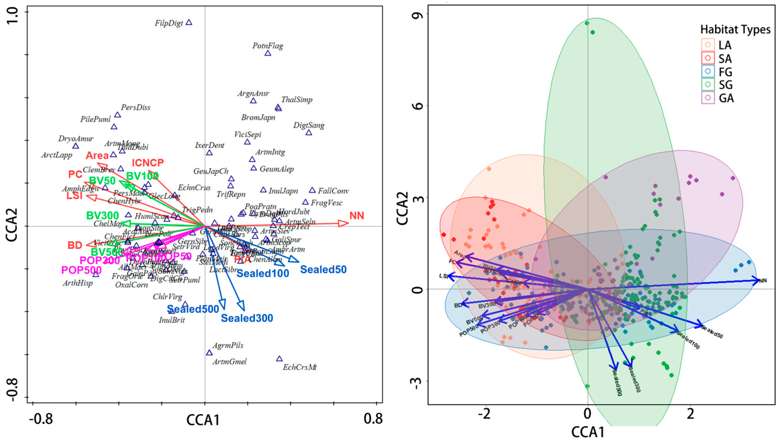 Plants 13 02982 g007