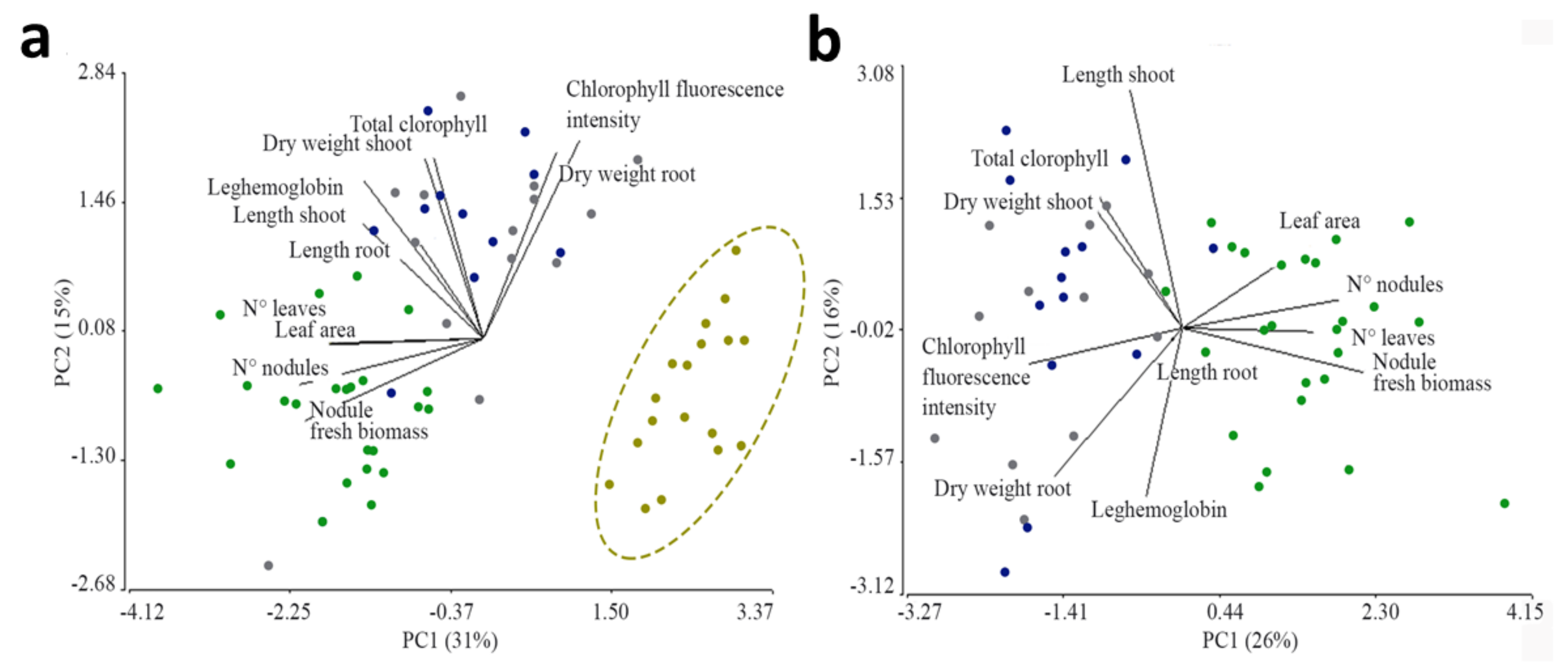 Plants 13 02983 g003
