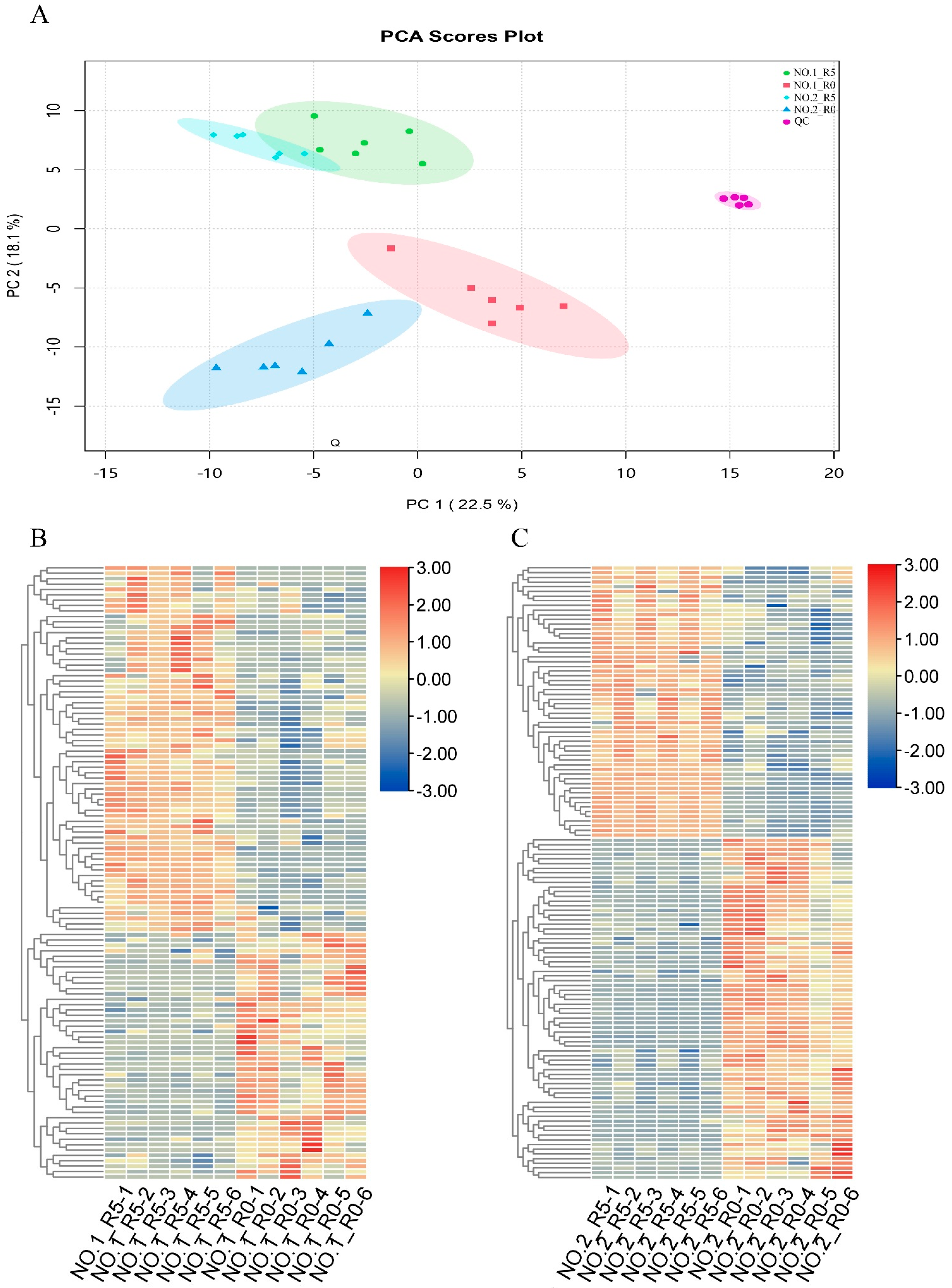Plants 13 02984 g001
