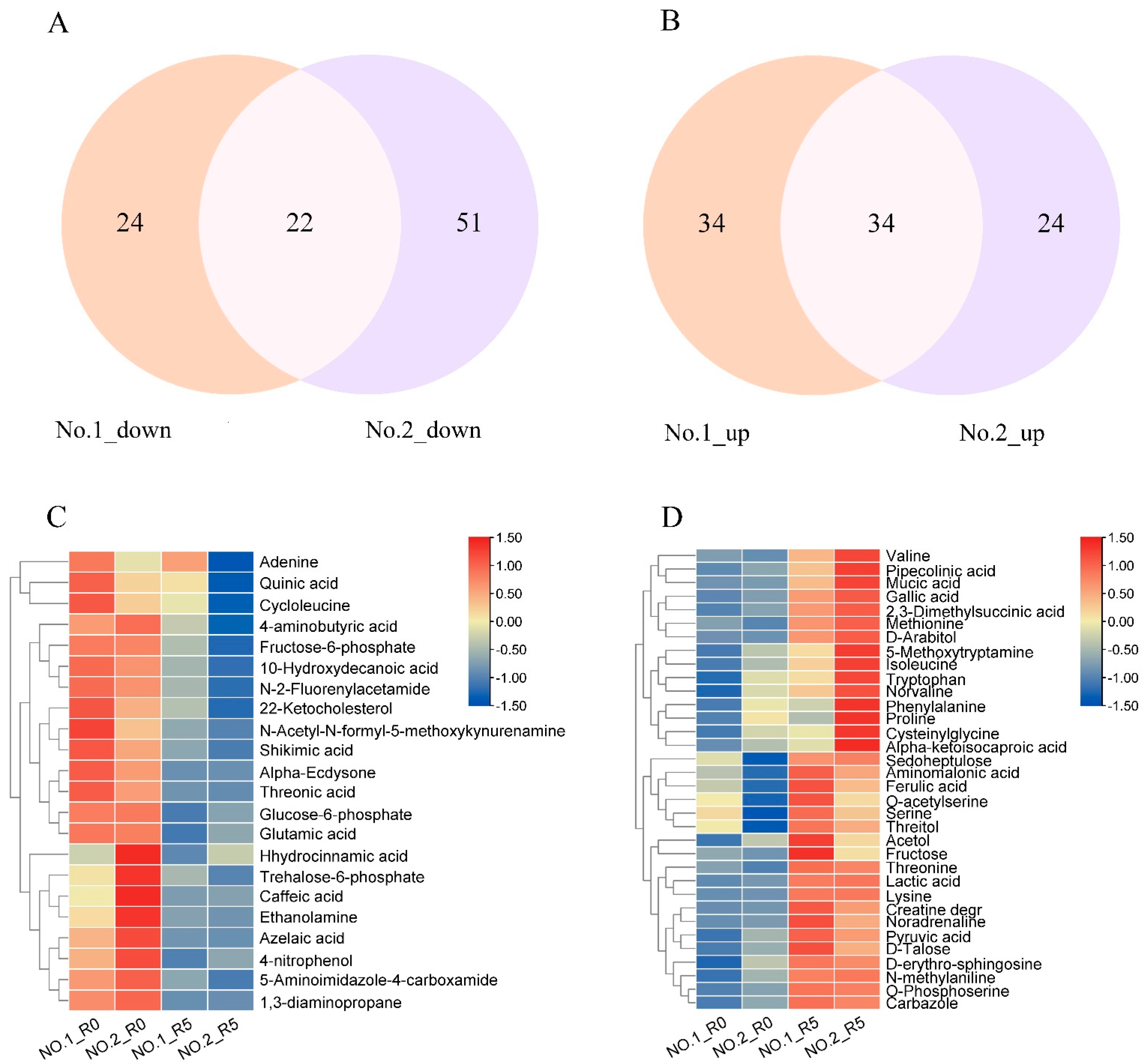 Plants 13 02984 g002