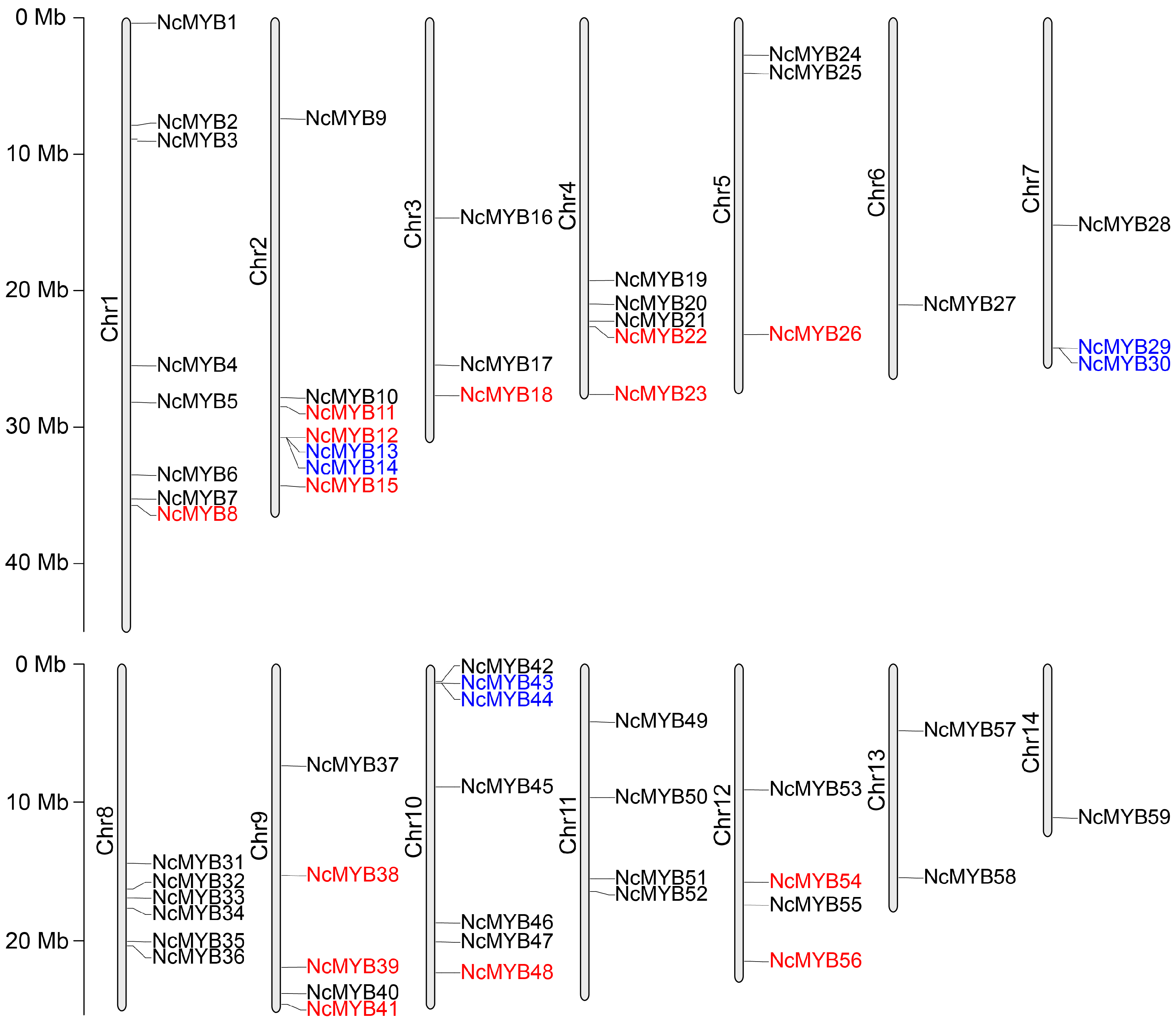 Plants 13 02990 g001