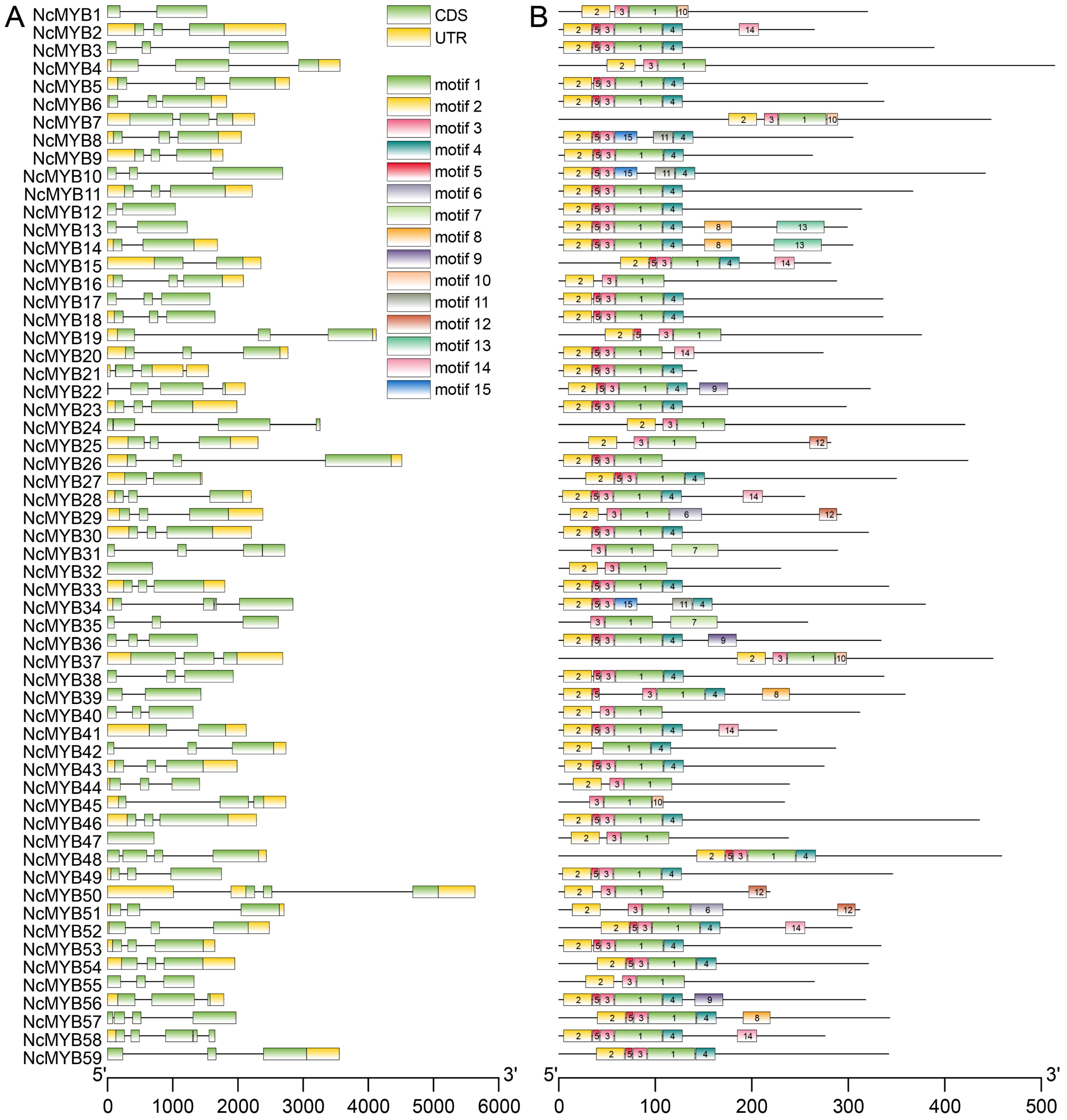 Plants 13 02990 g002