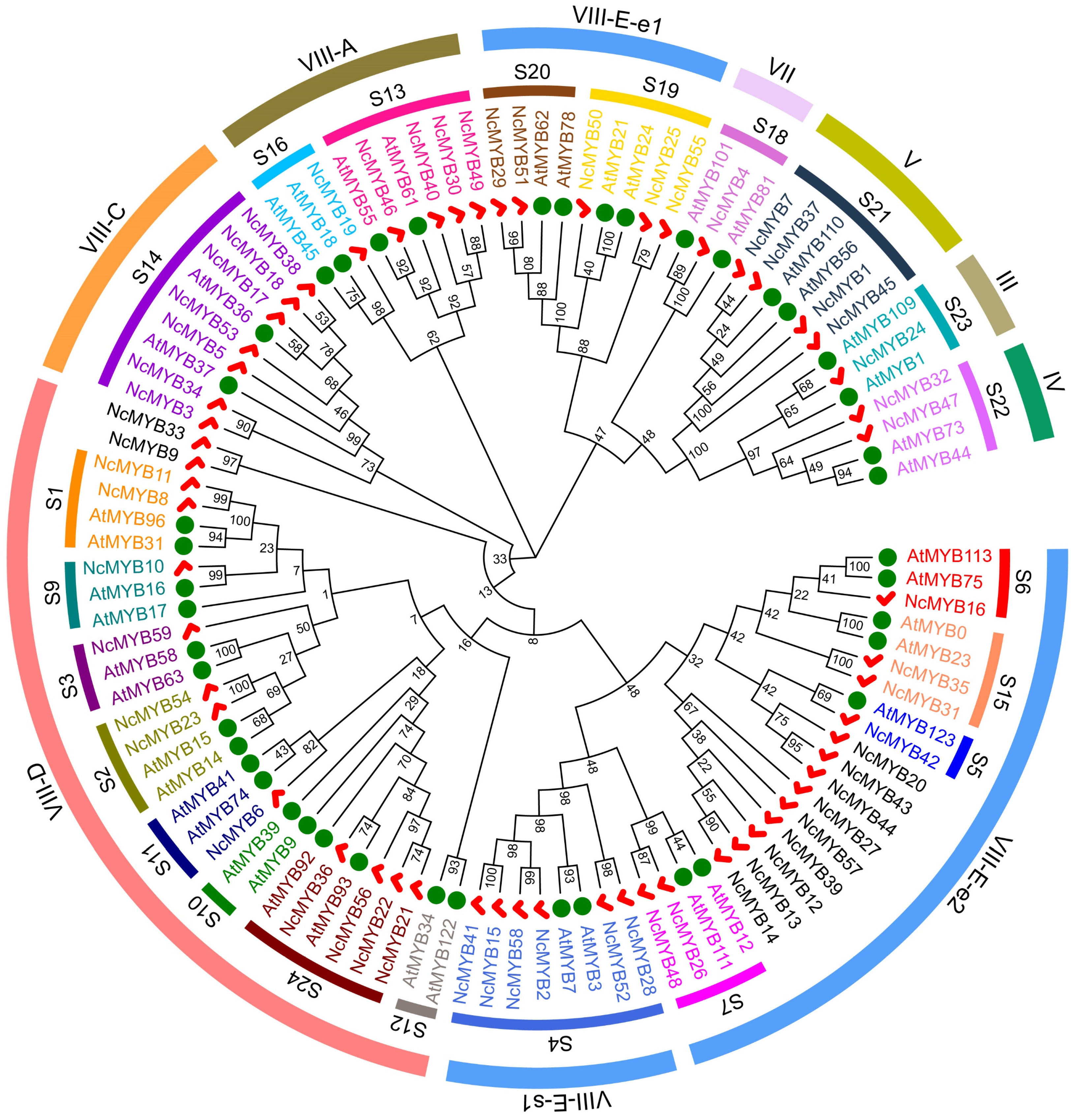 Plants 13 02990 g003